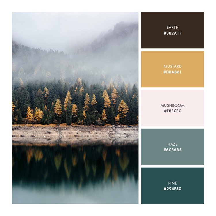 Palette 4  //  Approachable and Earthy