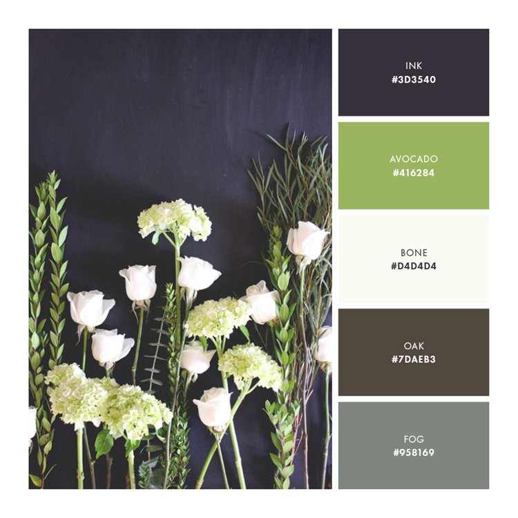 Palette 5  //  Strong and Uncompromising