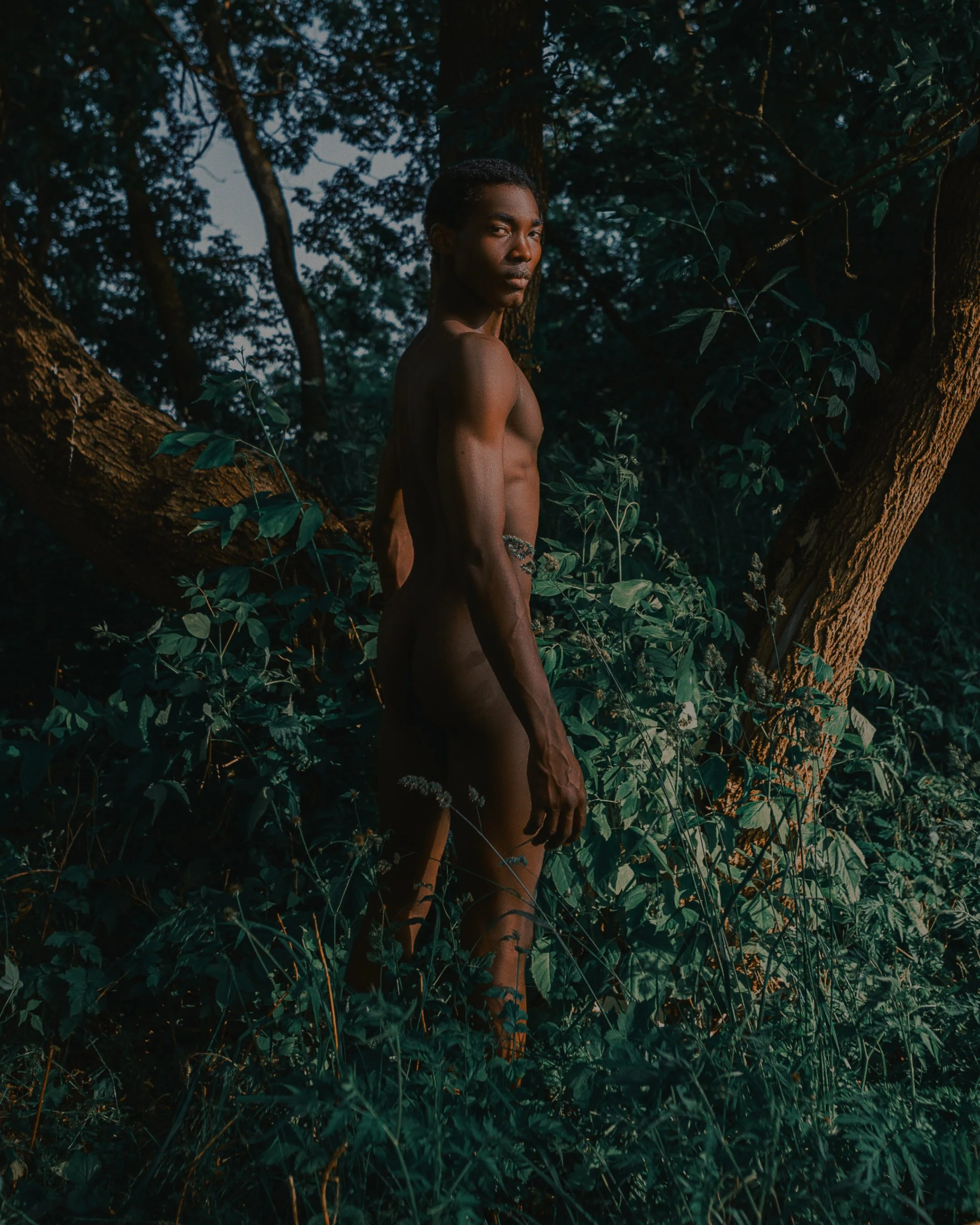 A partially clothed person standing in a forest, surrounded by trees and dense foliage, with soft natural light illuminating their side profile.