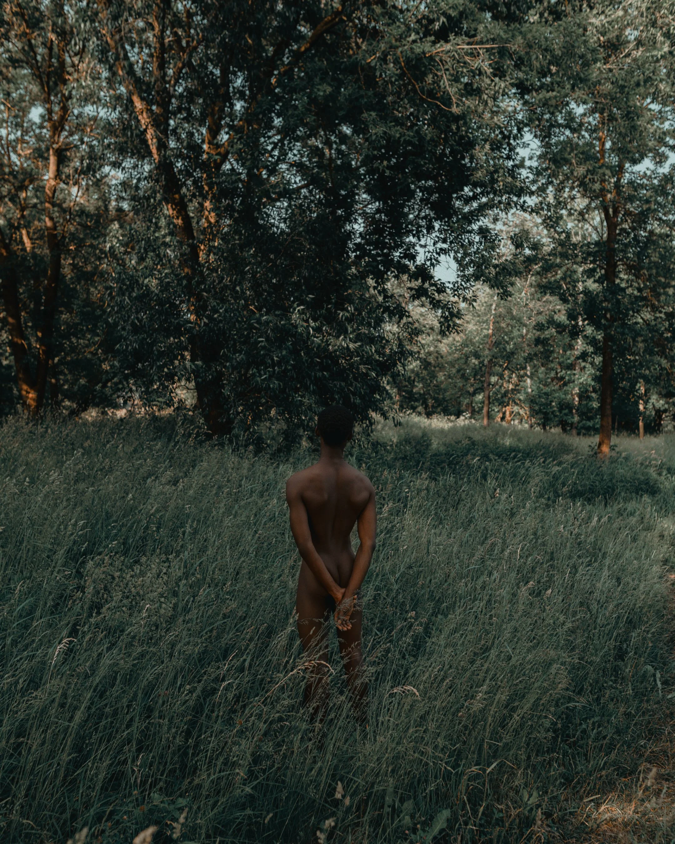A nude person standing in a grassy field with trees in the background, facing away from the camera.