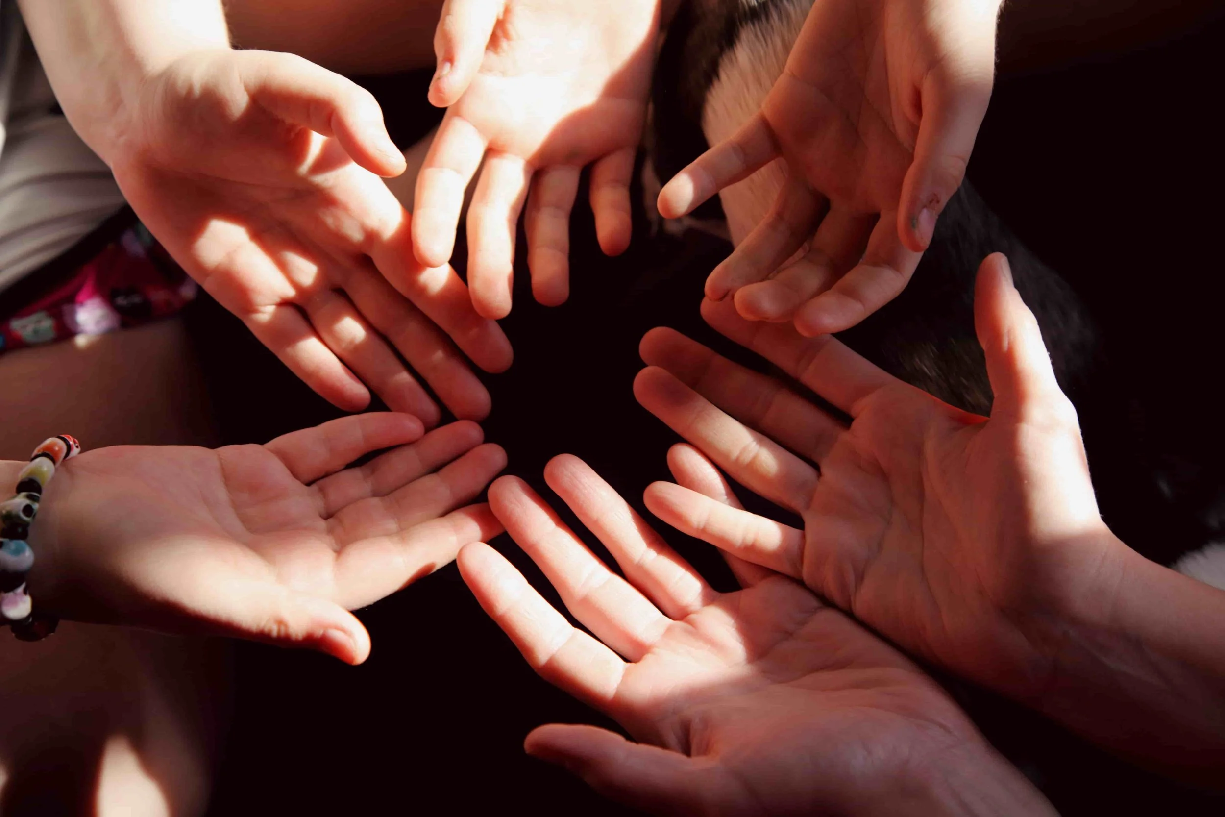 multiple hands in circle