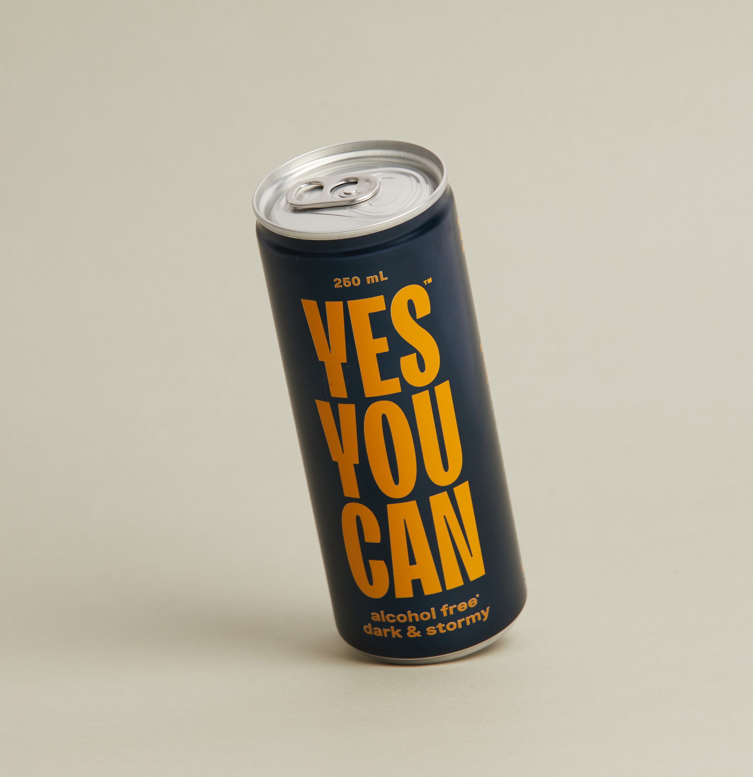 YES YOU CAN-16.jpg