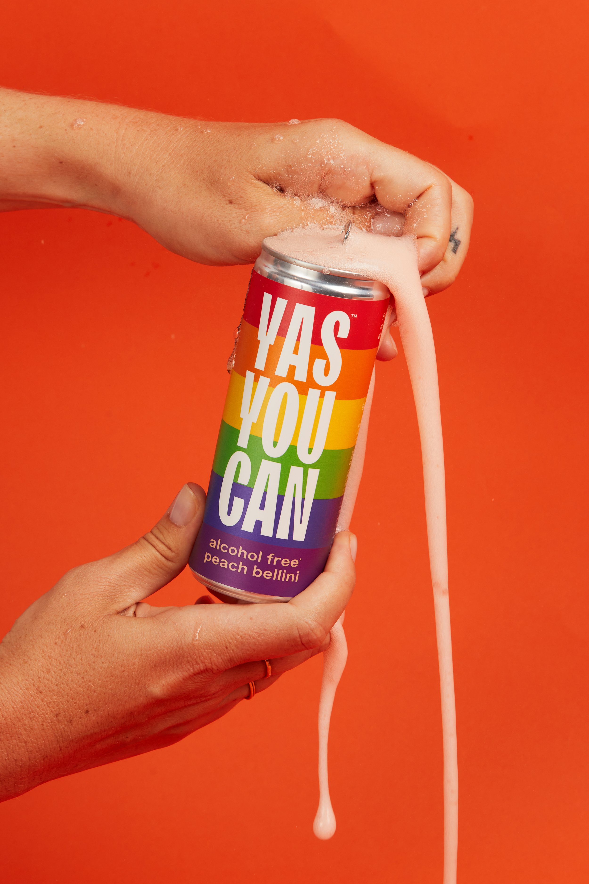YES YOU CAN18973.jpg