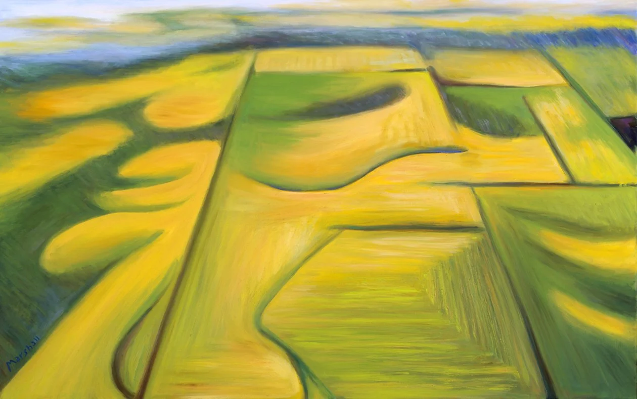 Crop Shapes 3, 30x40, NFS