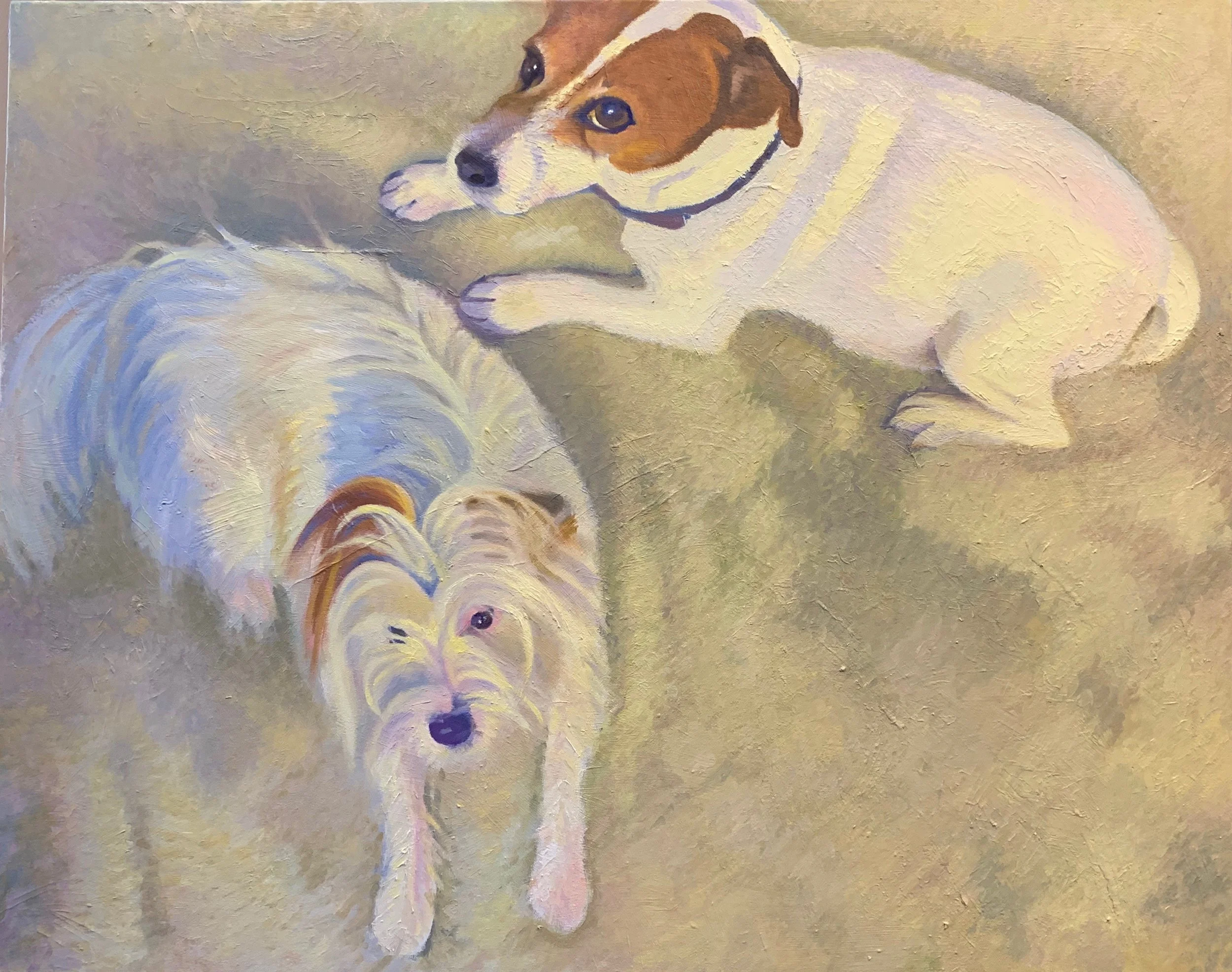 Bandit & Izzy Bella, 24x30, NFS