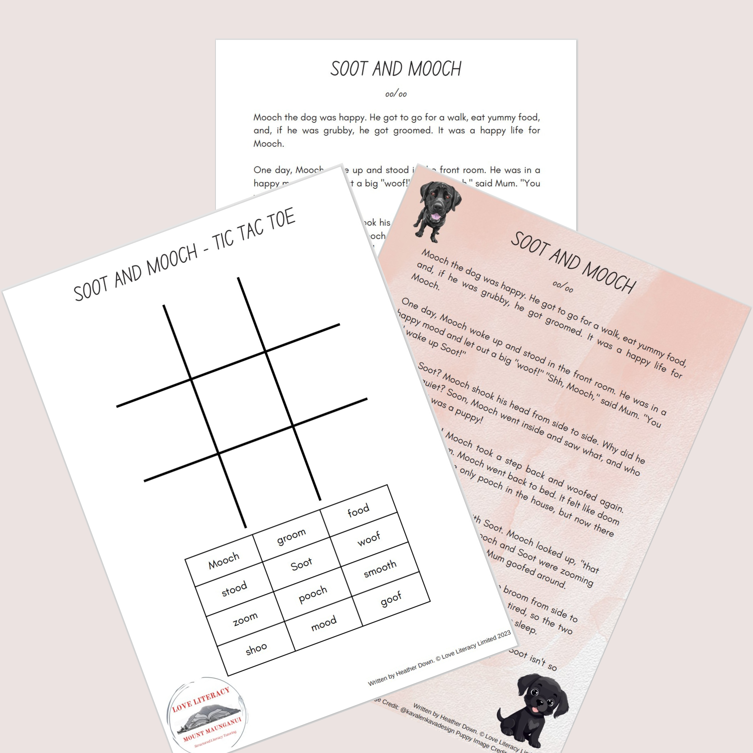 Soot and Mooch - oo/oo reading passage