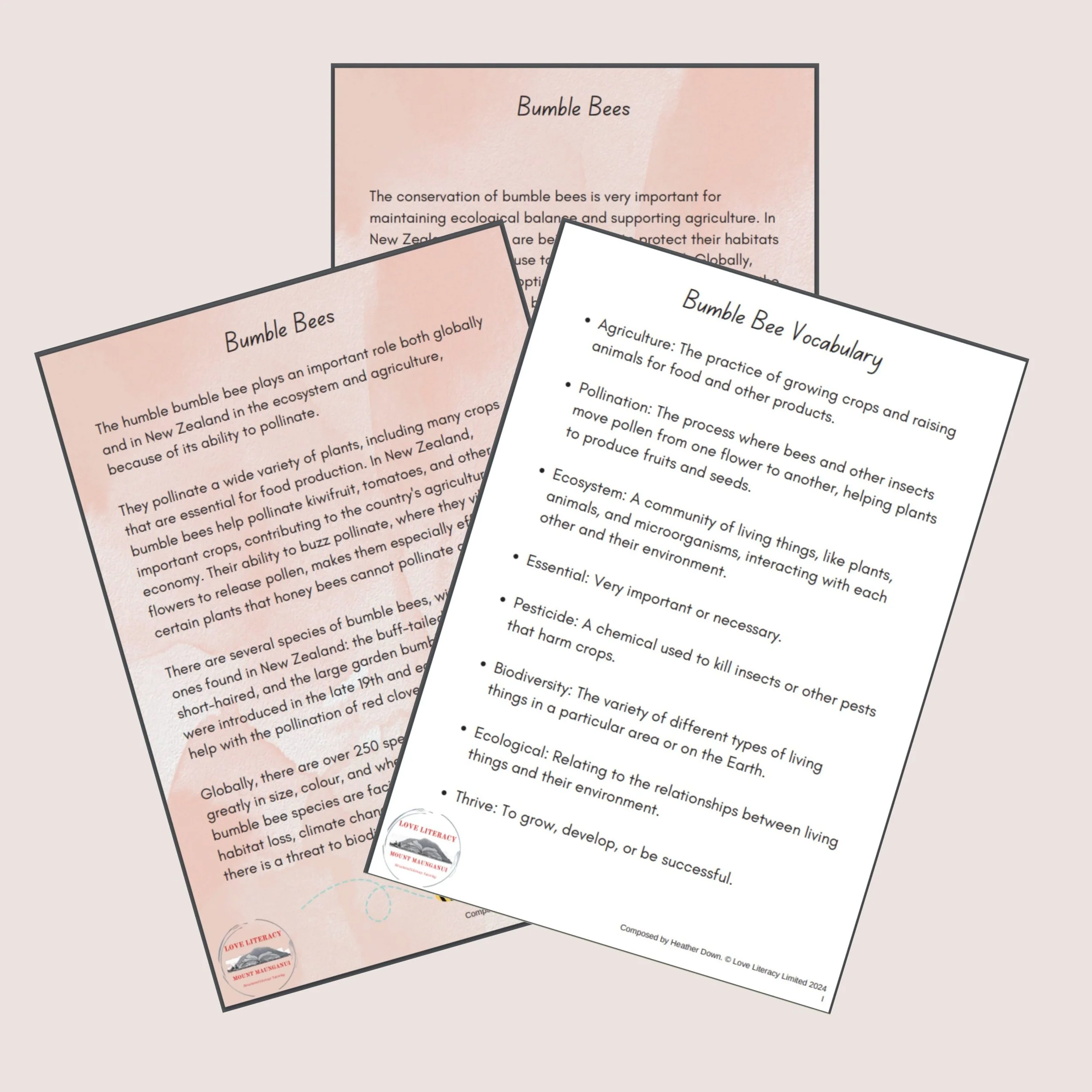 Bumble Bees – An authentic text