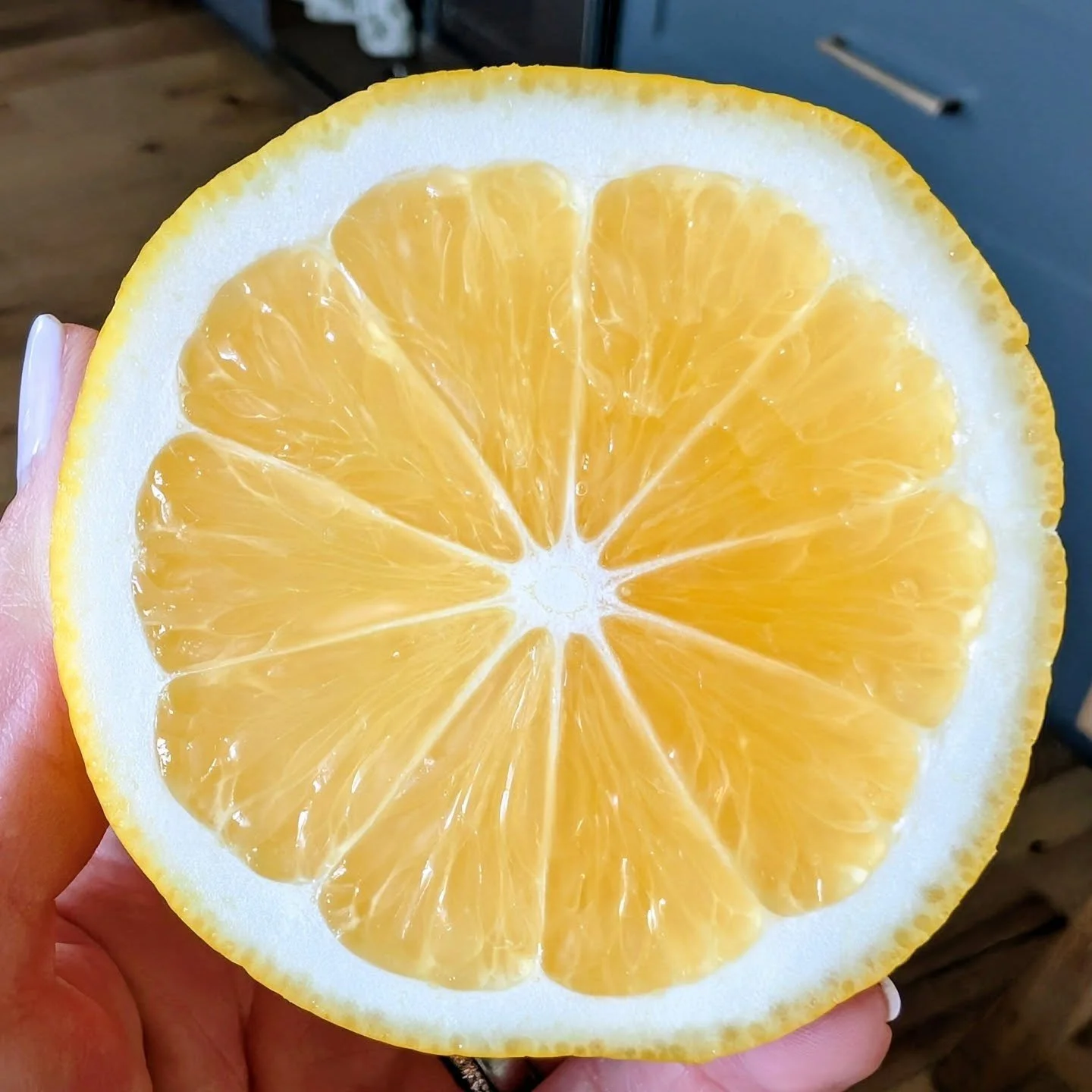 Happy Spring Equinox! 🌼🌱 🍋☀️ We officially enter my favorite season. 🌙