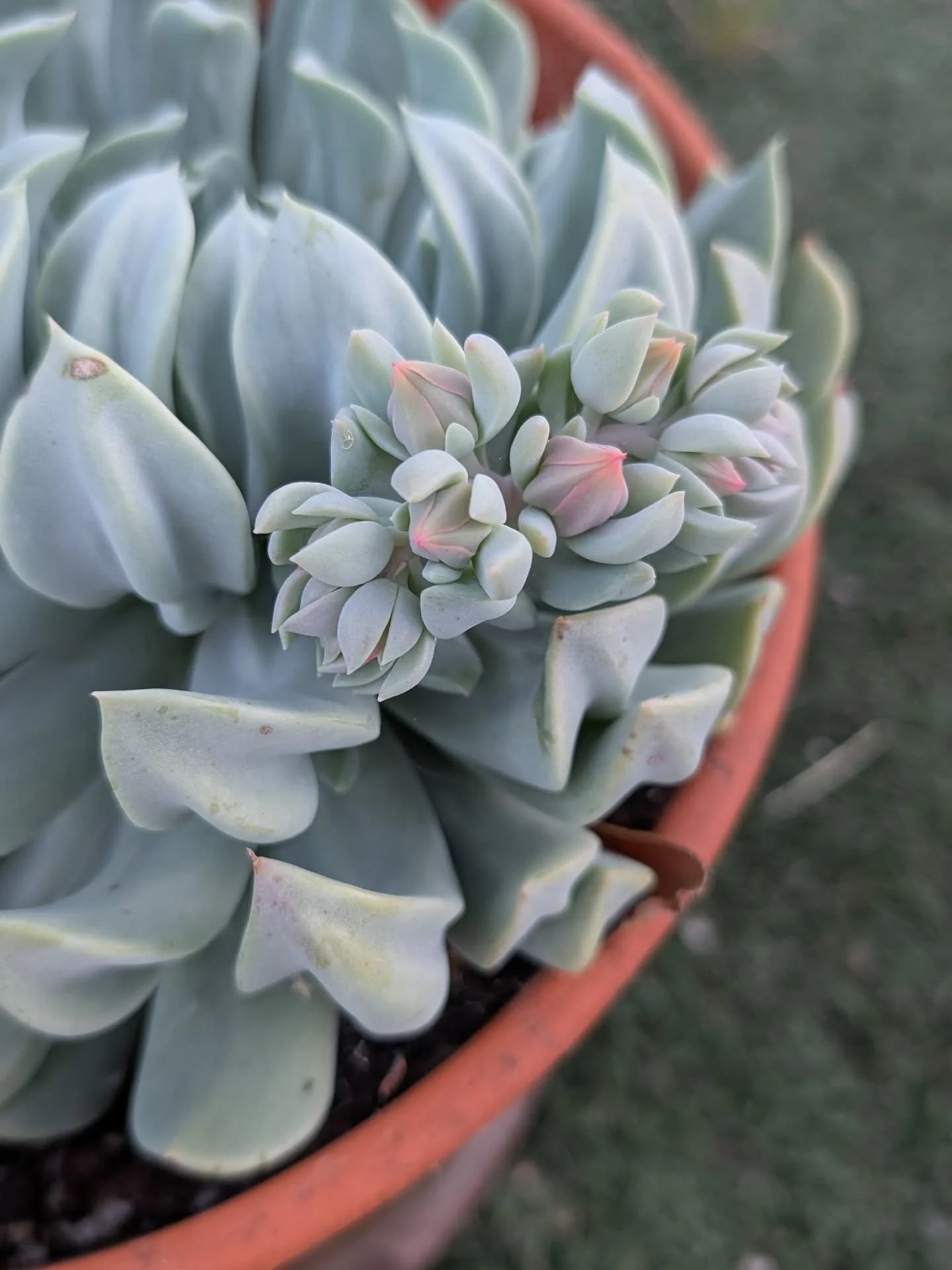 Beauty is really everywhere. You just have to notice it. 💚 🩷