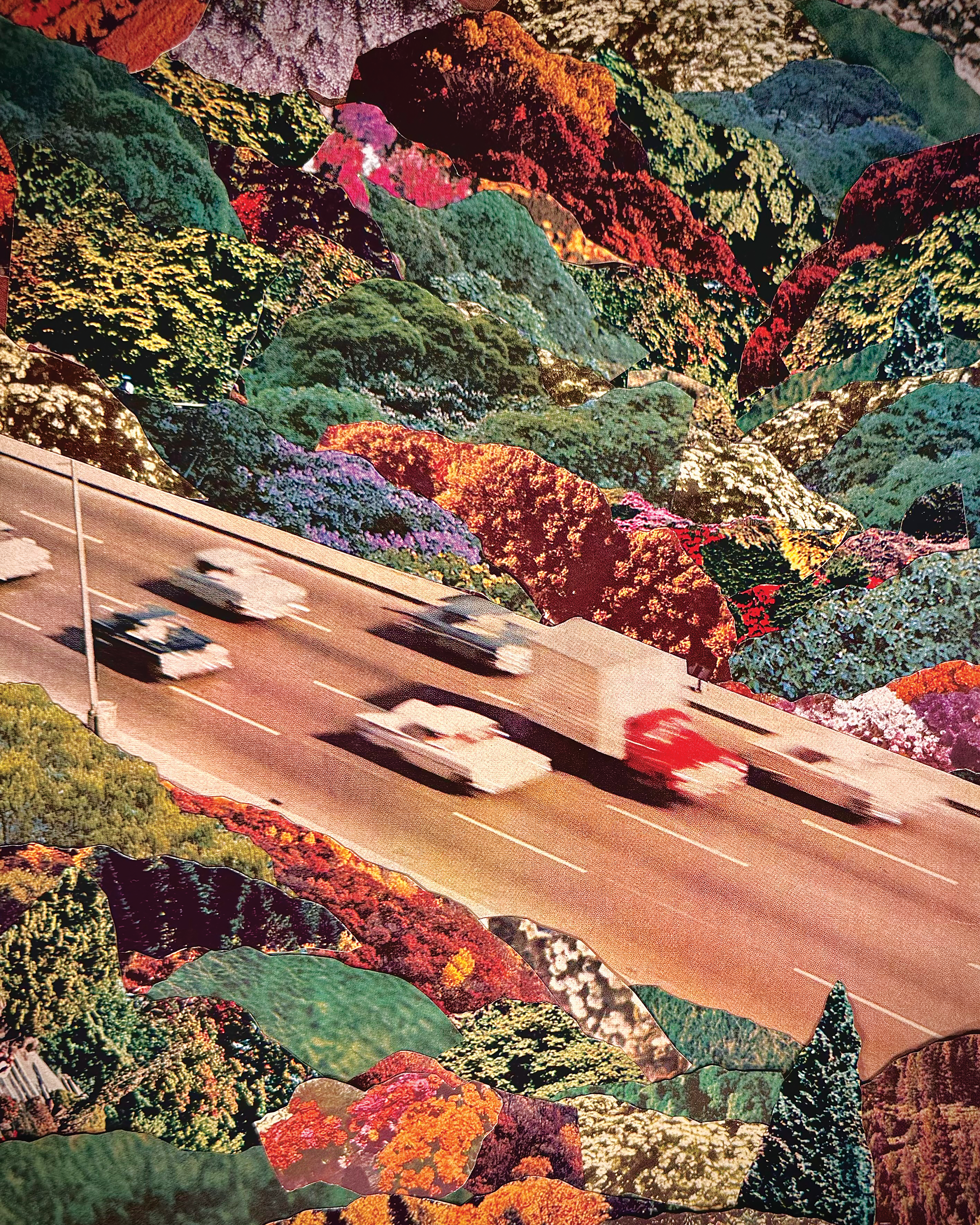 PASS BY - Signed Print