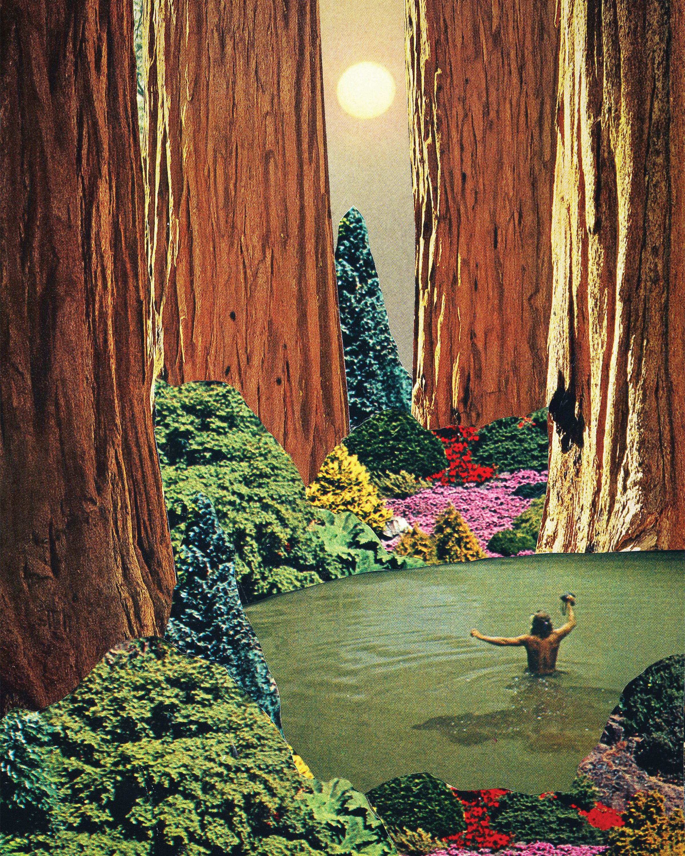 Sanctuary 2 - Signed Print