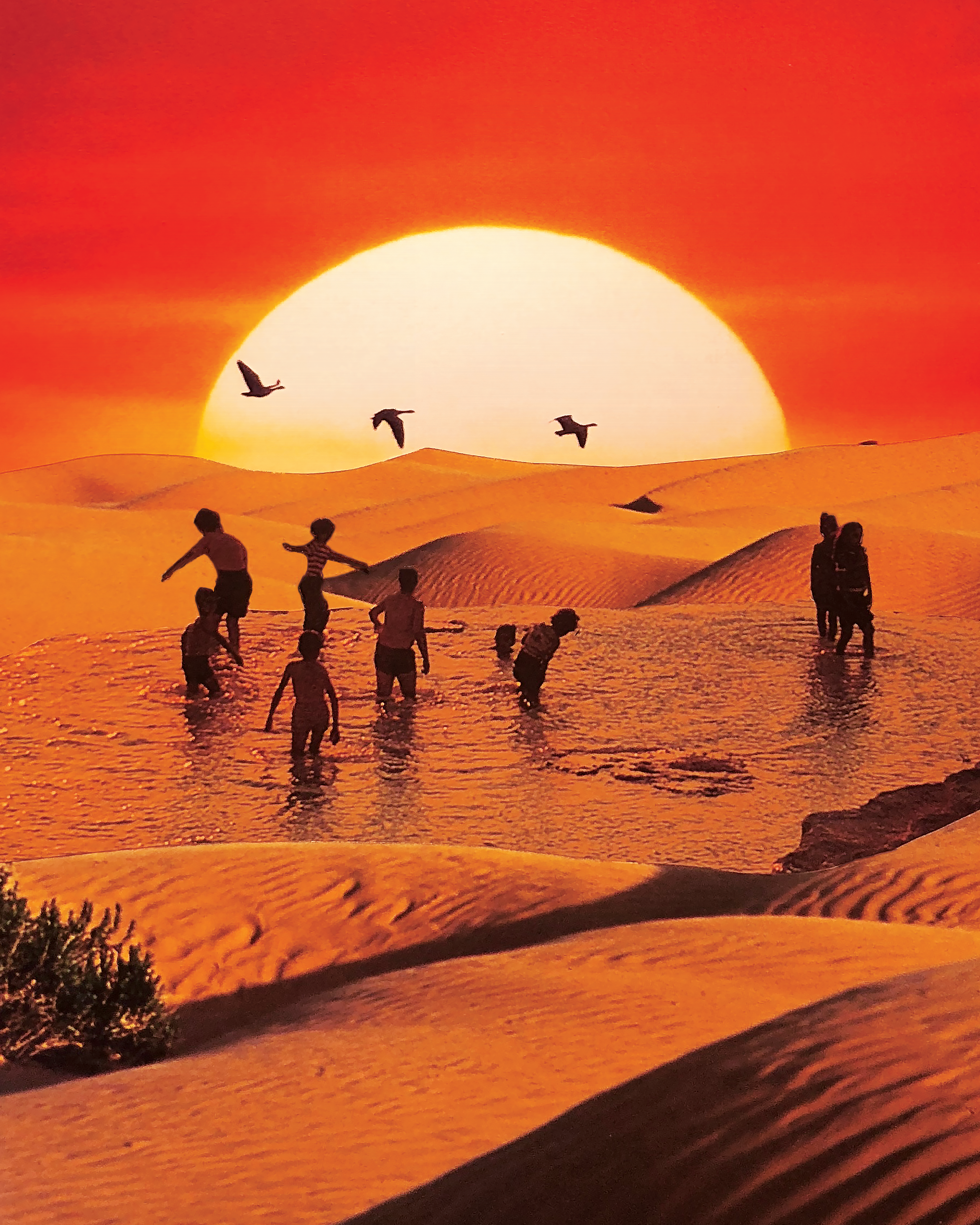 Oasis - Signed Print