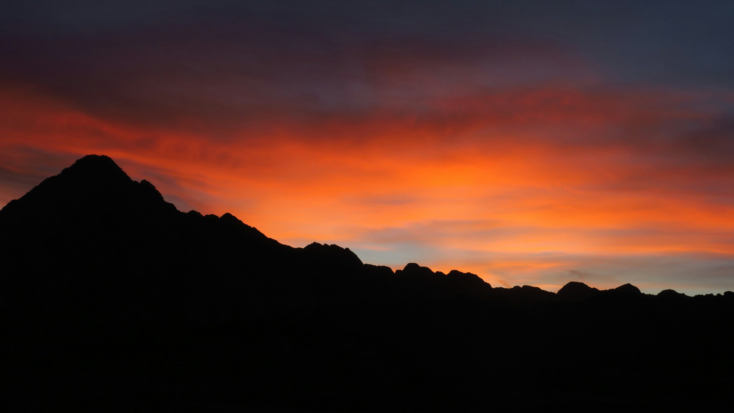 Herald of the Morning