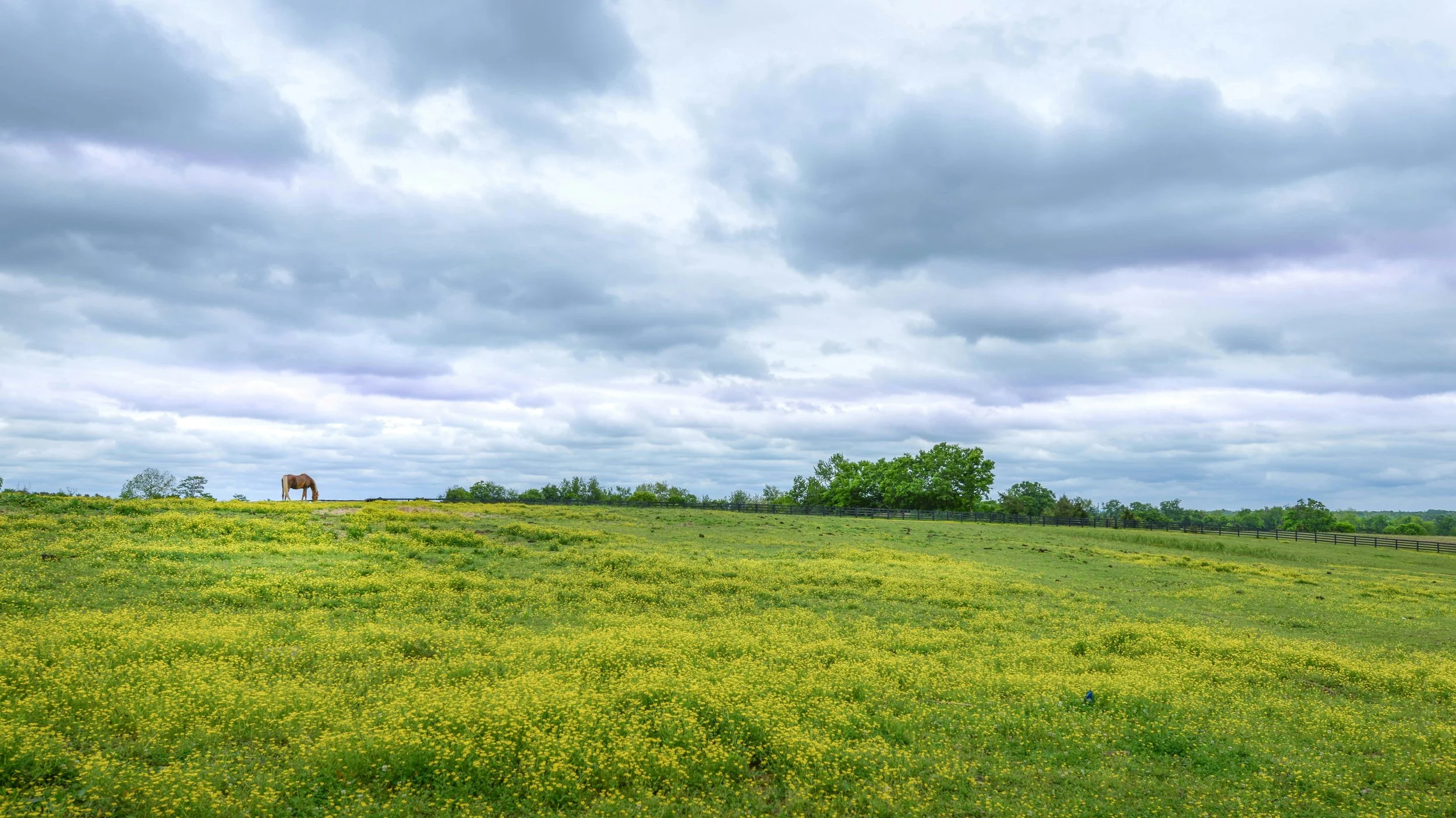 To Love a Place: A Tribute to the Wisdom and Words of Wendell Berry