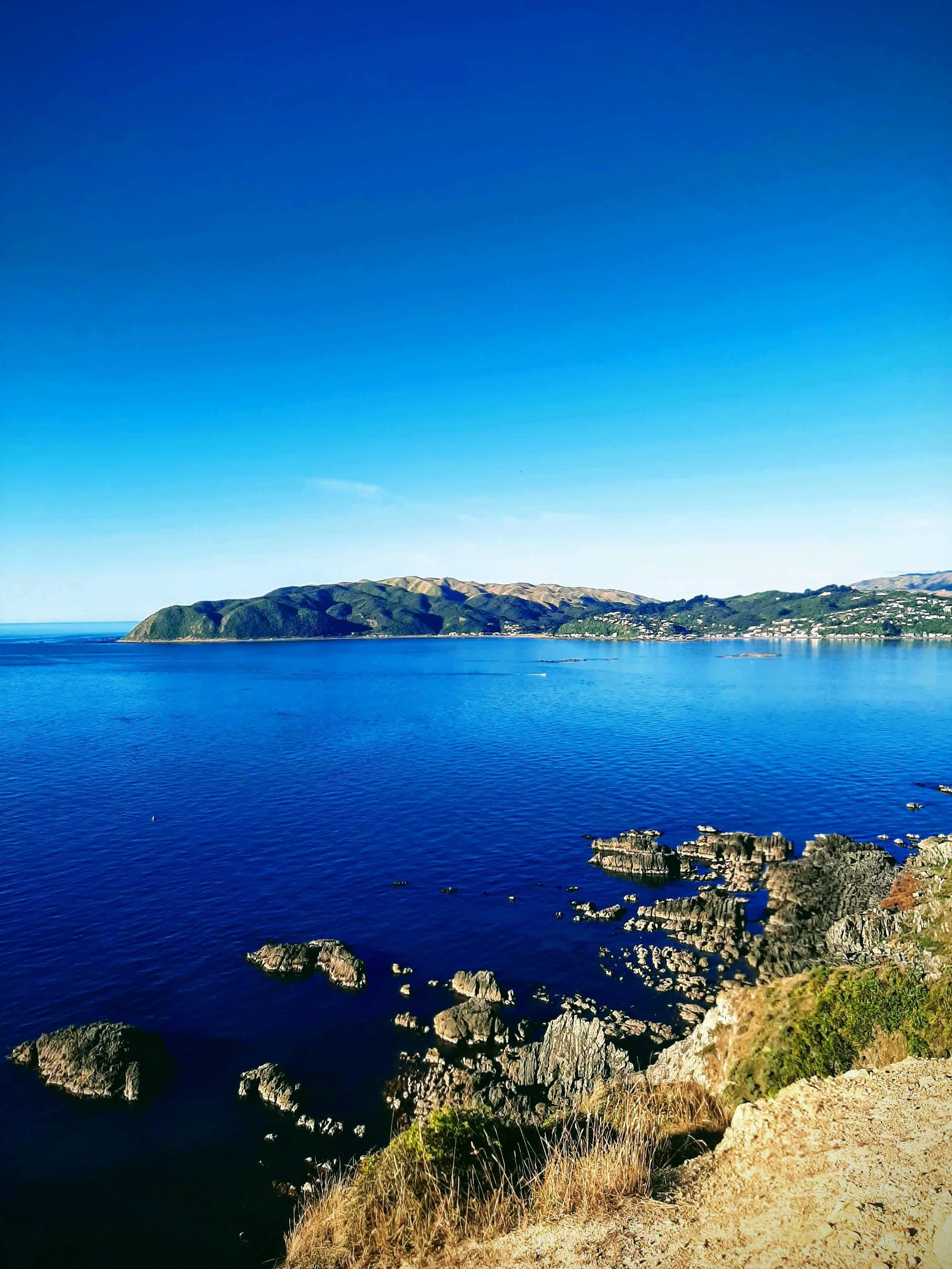 Flooring In Porirua — Floor Play