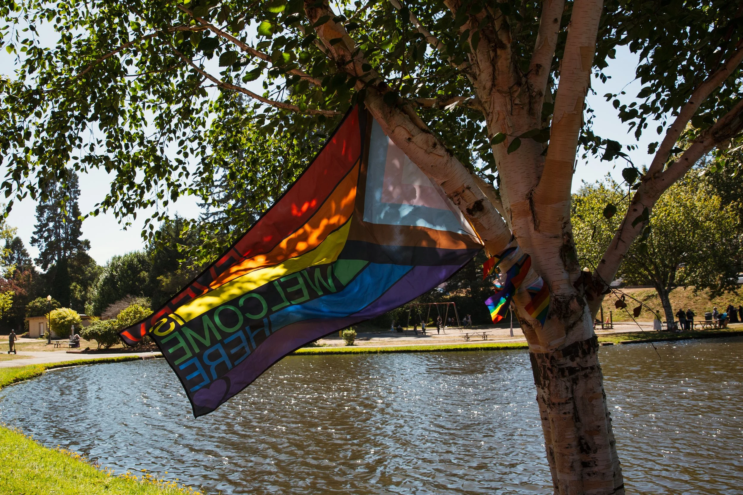 Pride-inthe-park-2025-037.jpg