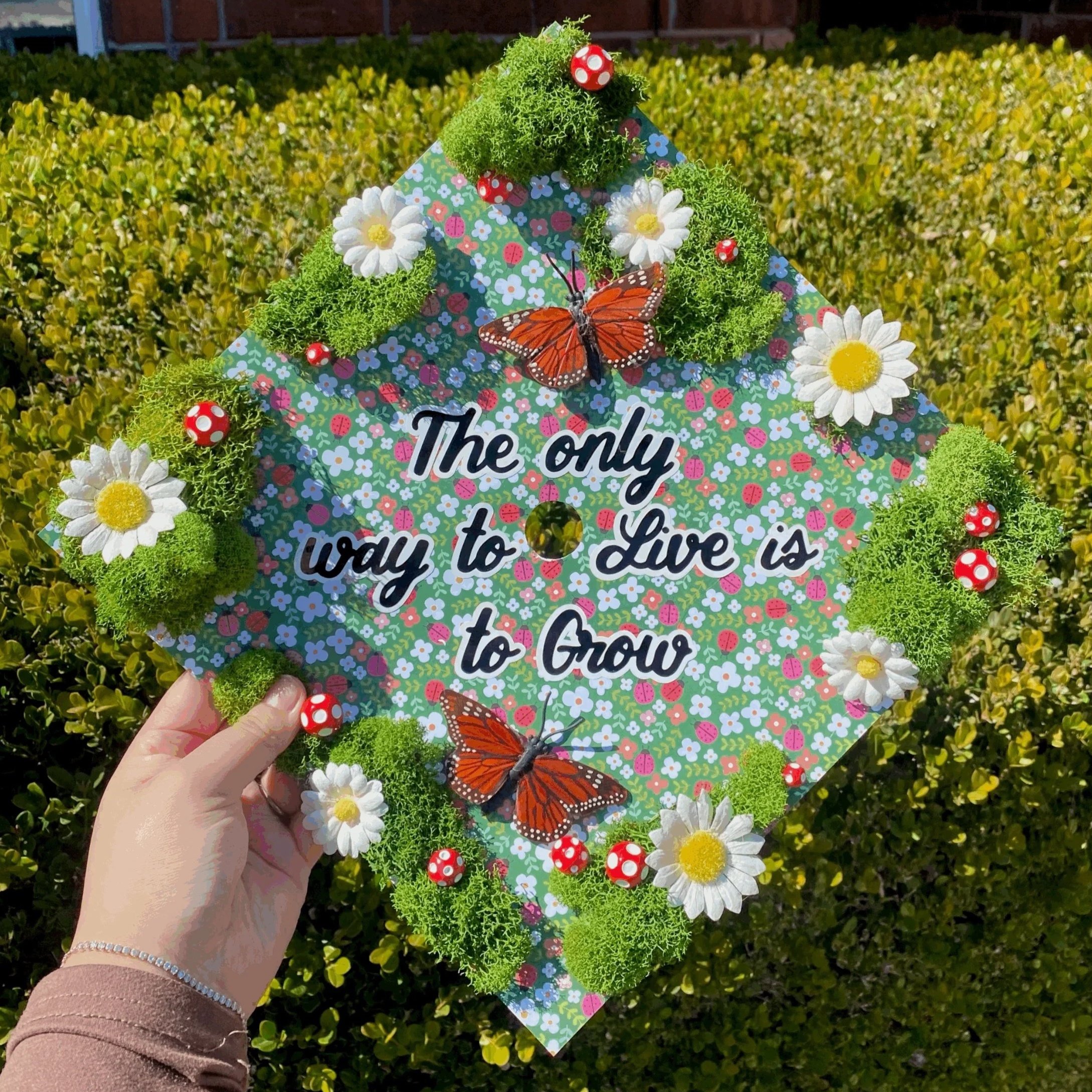 Decorative graduation cap held outdoors with a quote that reads, 'The only way to Live is to Grow,' surrounded by artificial moss, white daisies, red and white mushrooms, and two orange butterflies.