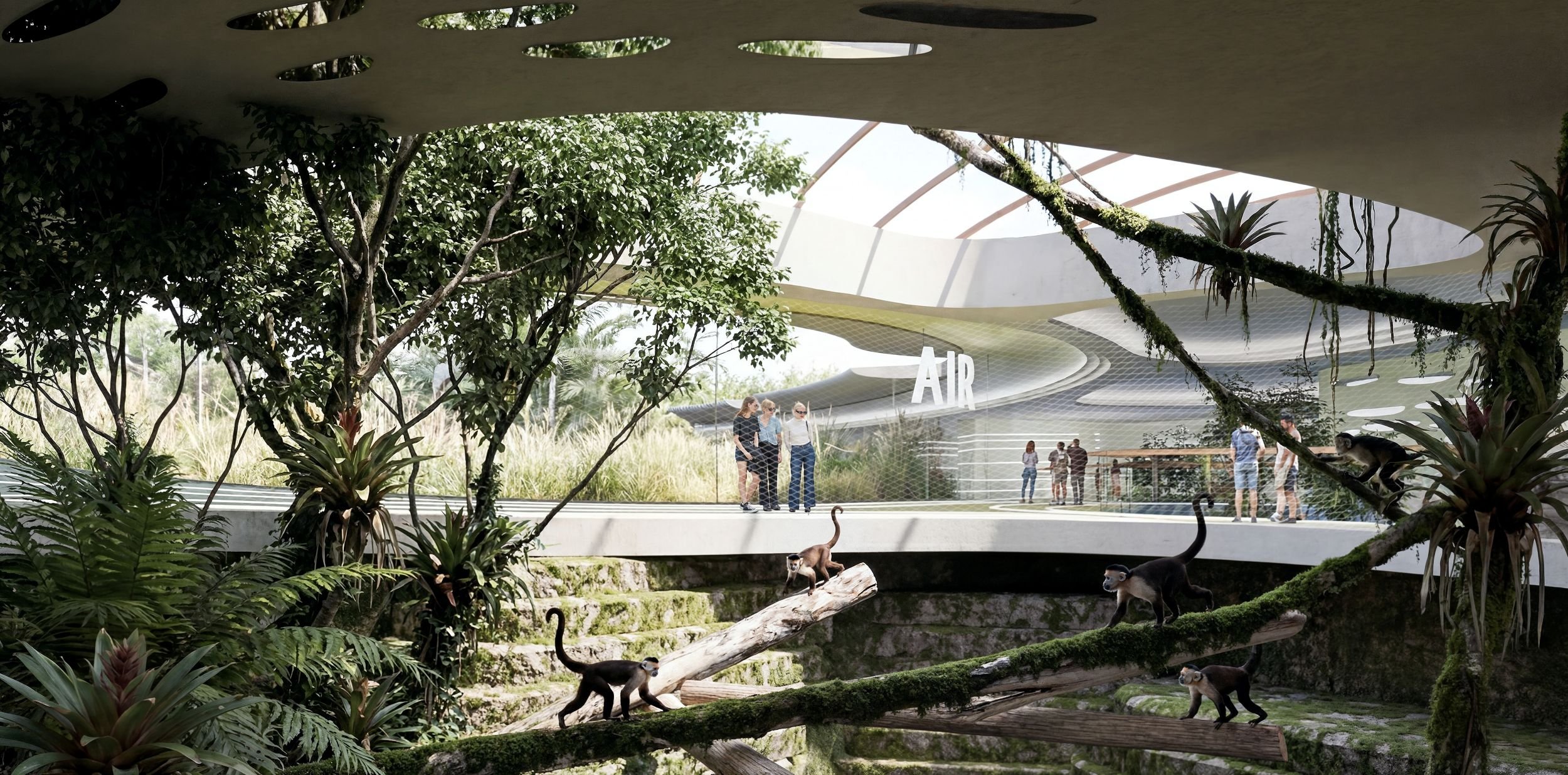 Air zone with new world monkeys in a double-height canopy habitat. Visitors walk at treetop level on elevated paths while monkeys roam branches below. ETFE membrane roof floods the space with daylight.