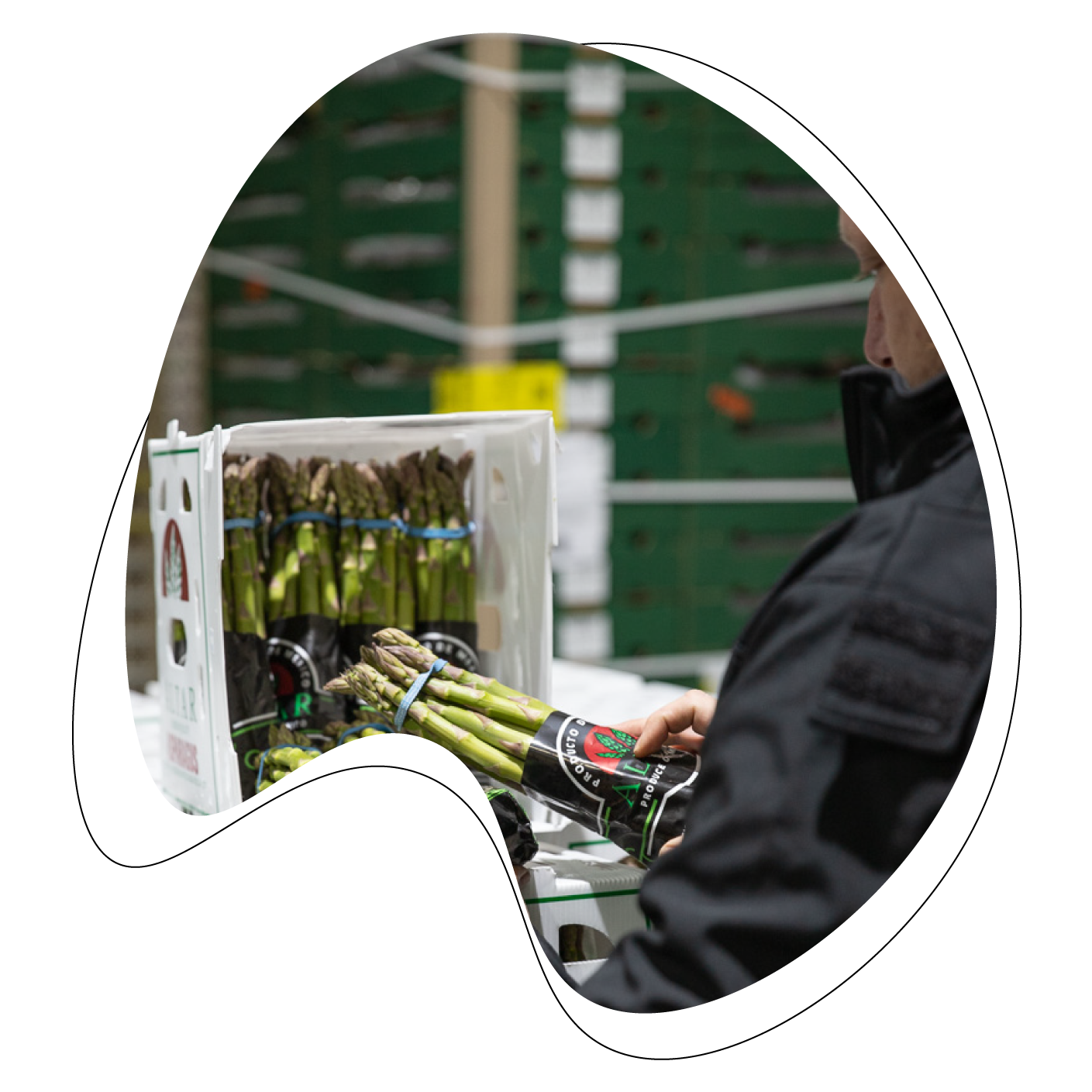 Quality Control — Quality Studio | Service is Our Business