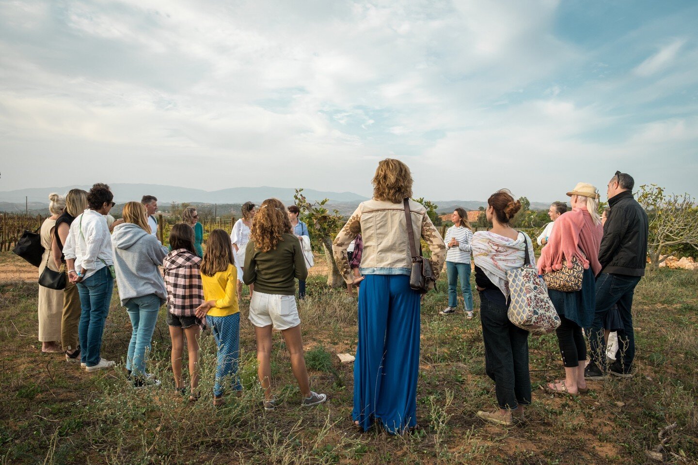 Por entre oliveiras e figueiras encontr&aacute;mo-nos com a M&oacute;nica Franco, fundadora da Associa&ccedil;&atilde;o Movimento Bloom, e partir da&iacute; fomo-nos perdendo e encontrando, ao sabor de jogos que nos fizeram ligar emocionalmente &agra