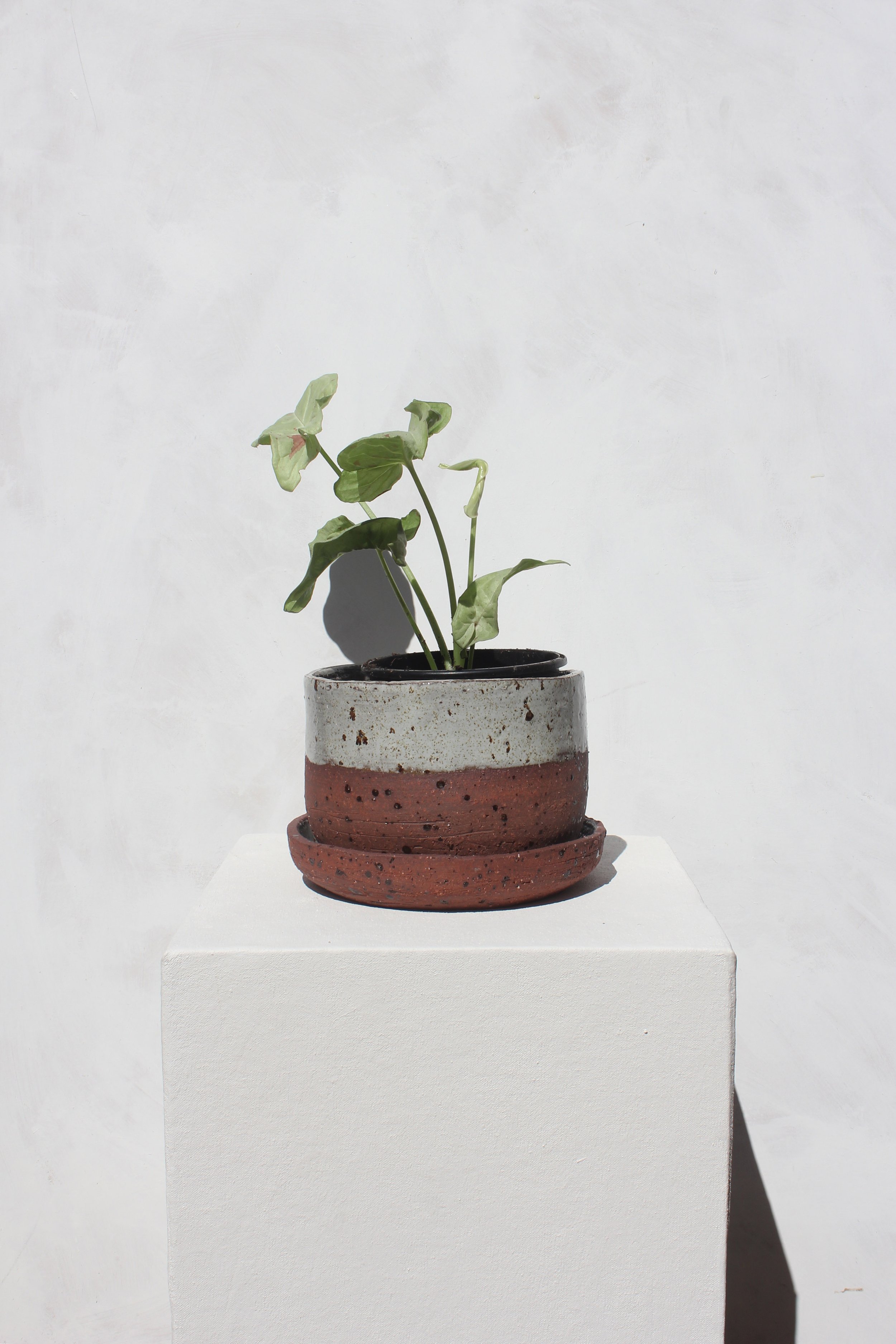 Planter_Terracotta and Grey_.jpg