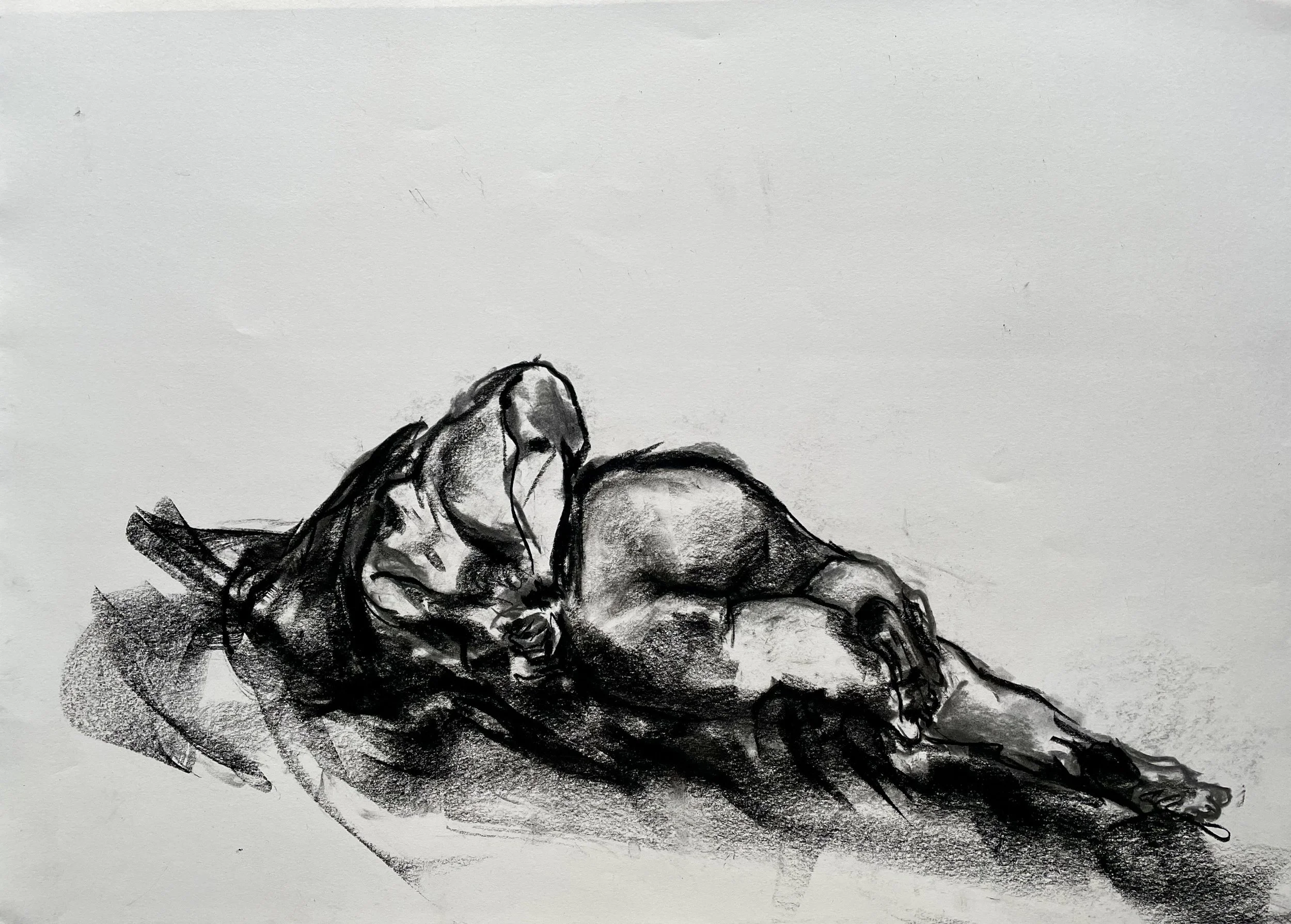 ks_zeichenzirke_041125 - 1.jpeg