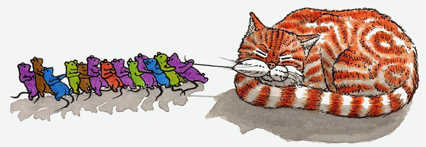 mice-pulling cats whisker.jpeg