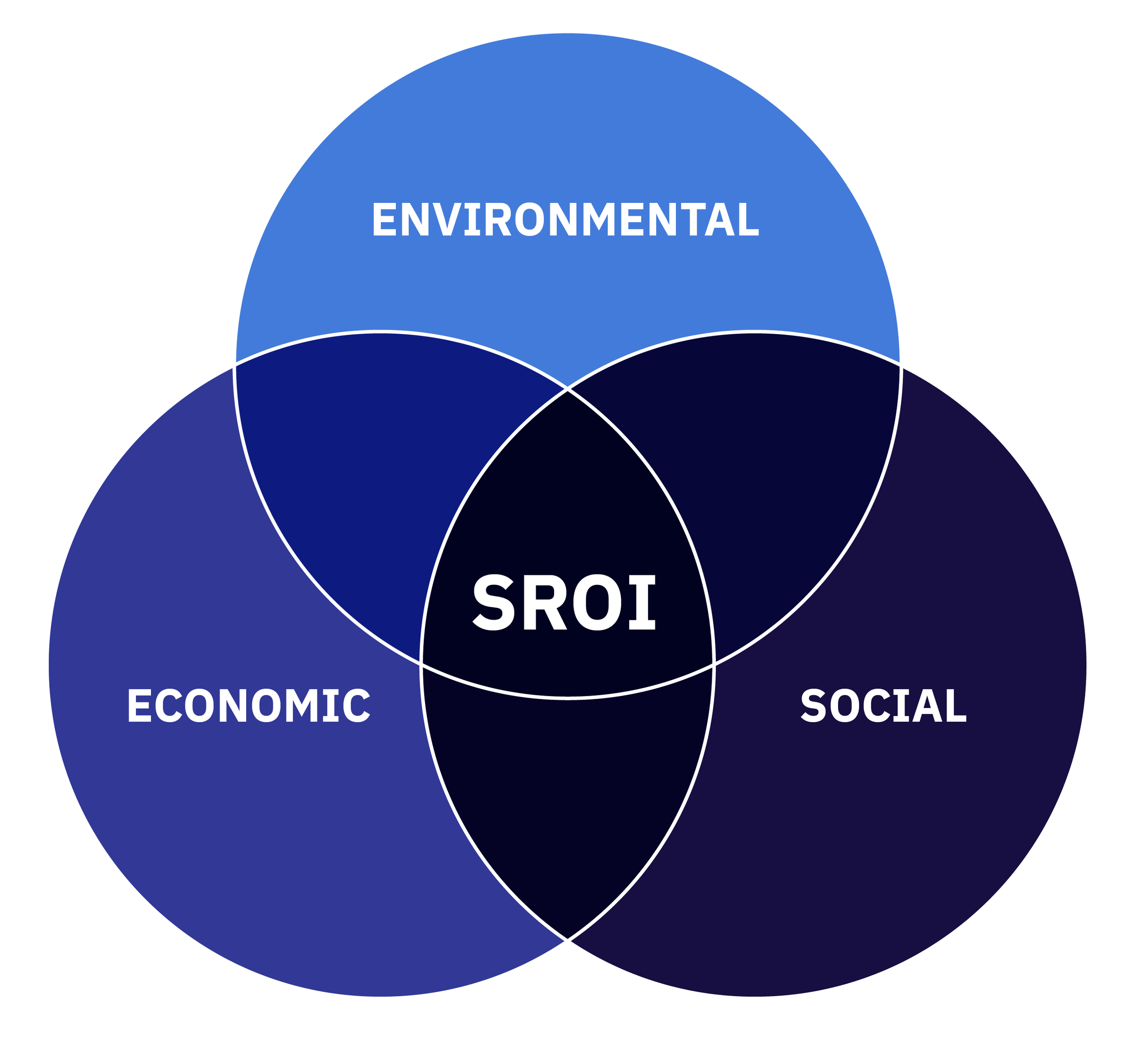SROI Diagram_2.png
