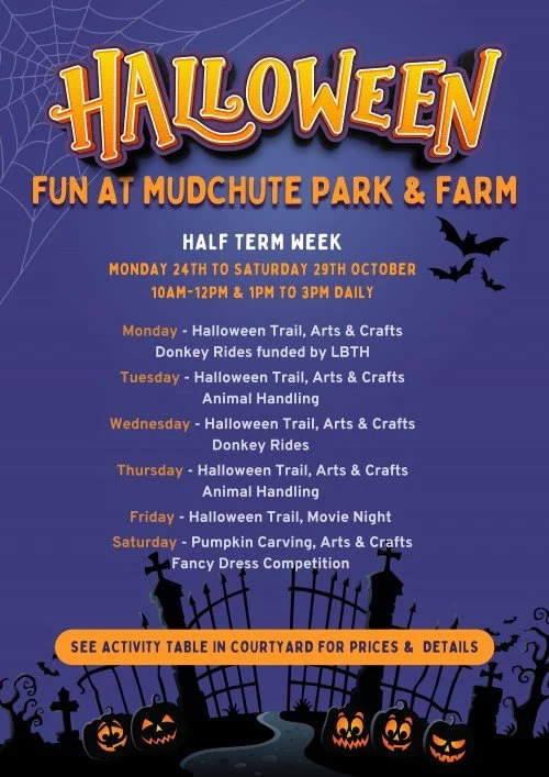 HALLOWEEN HALF TERM AT MUDCHUTE