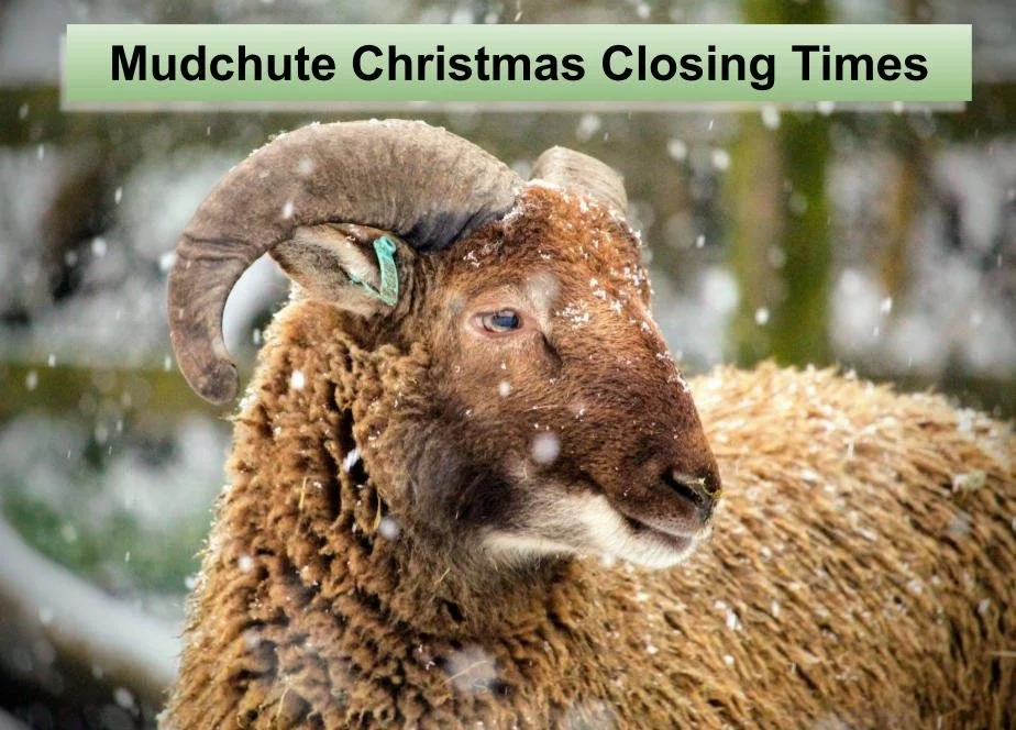 Mudchute Christmas Closing Times