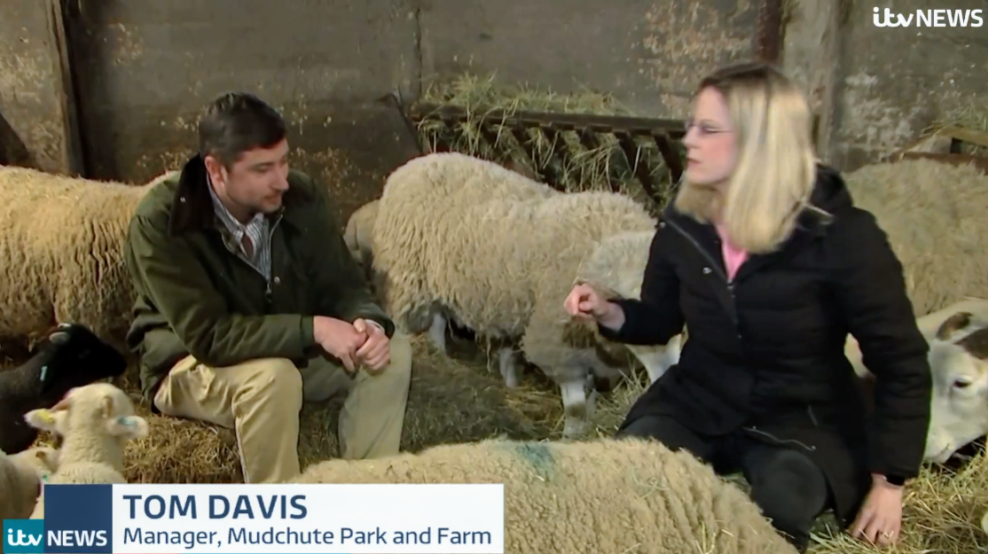 Farmer Tom on ITV London News