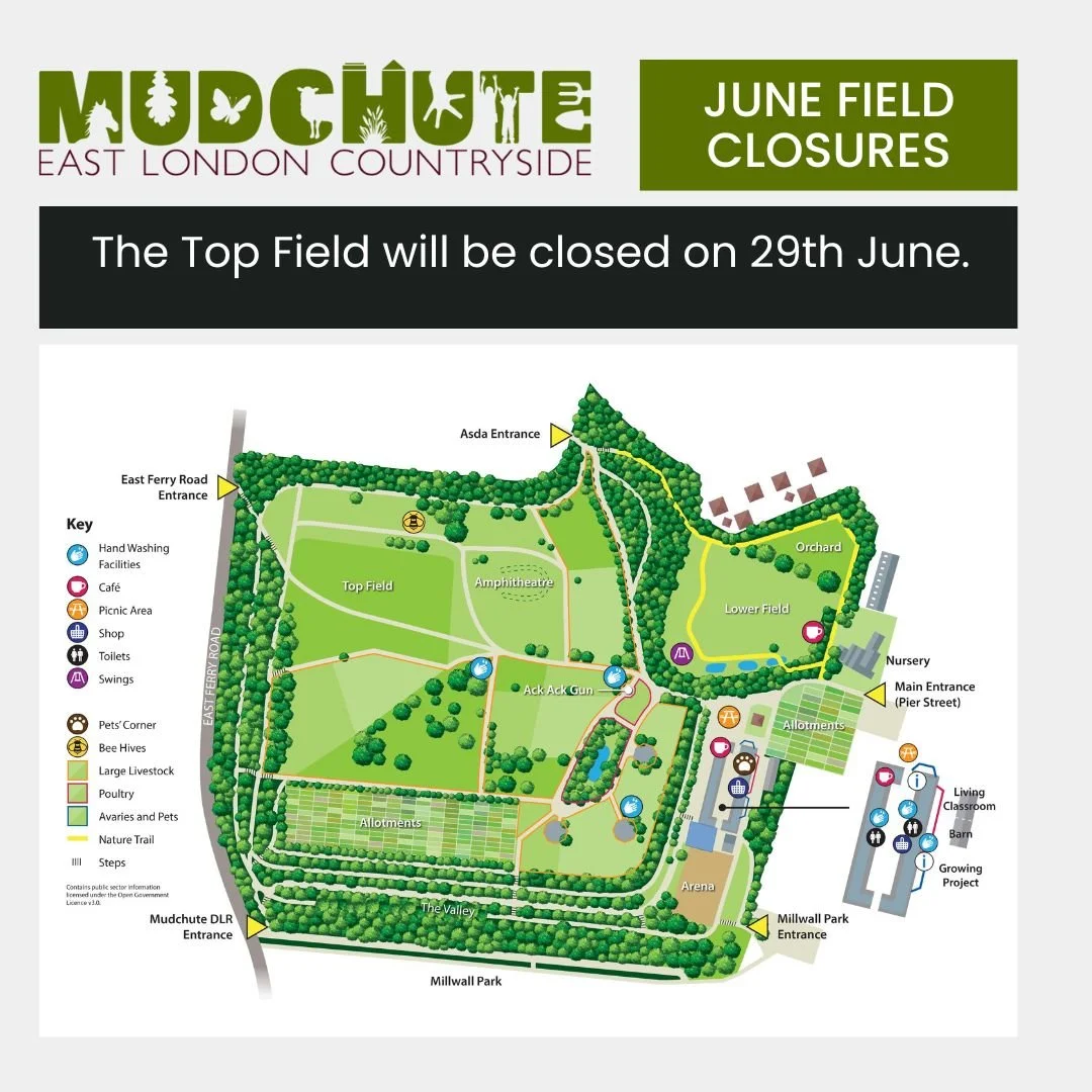 Top Field Closed on 29 June 2023