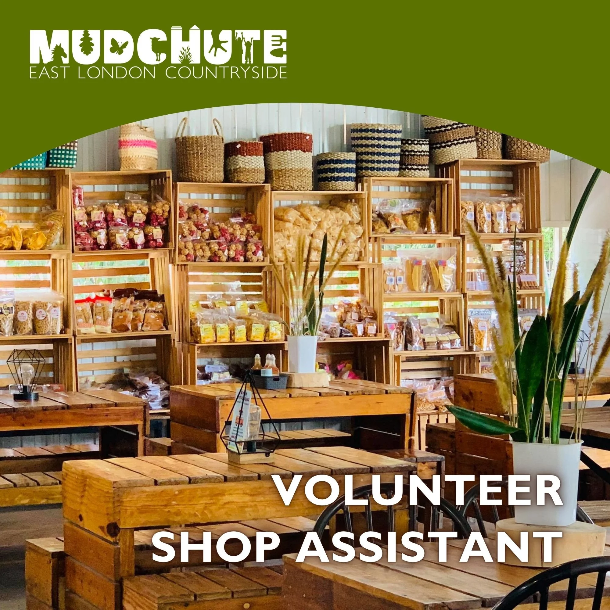 Volunteer Shop Assistant 1.jpg