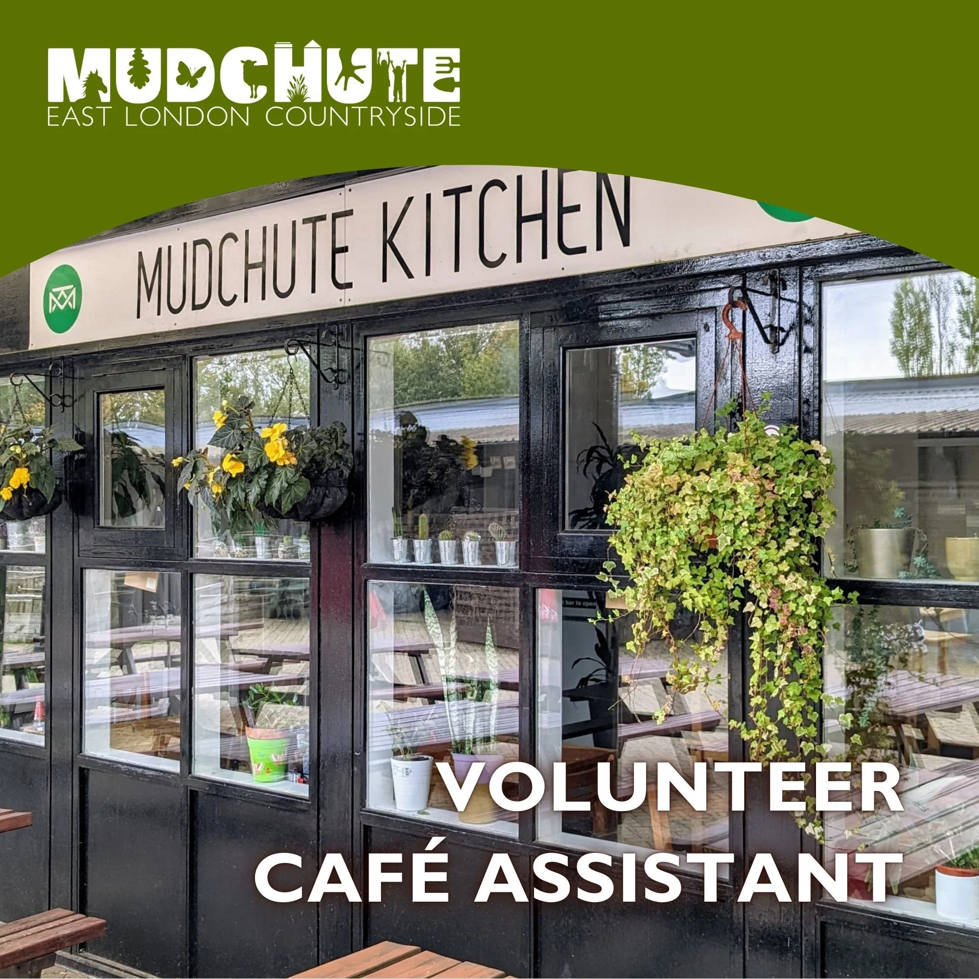 Volunteer Café Assistant 1.jpg