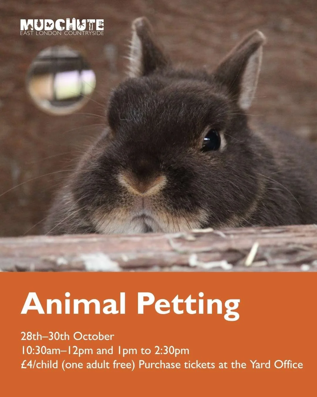 What's On Autumn Social 3.jpg