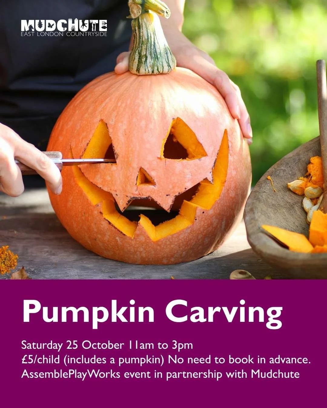 What's On Autumn Social 6.jpg