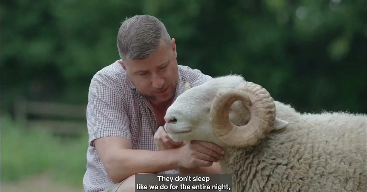 Rare Breeds in the City, episode 1