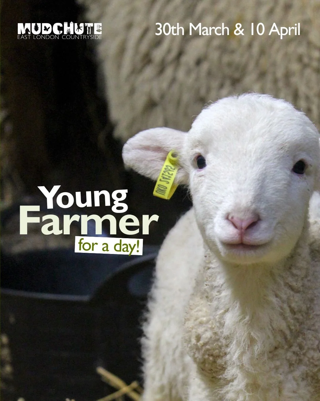 Young Farmer for a  Day