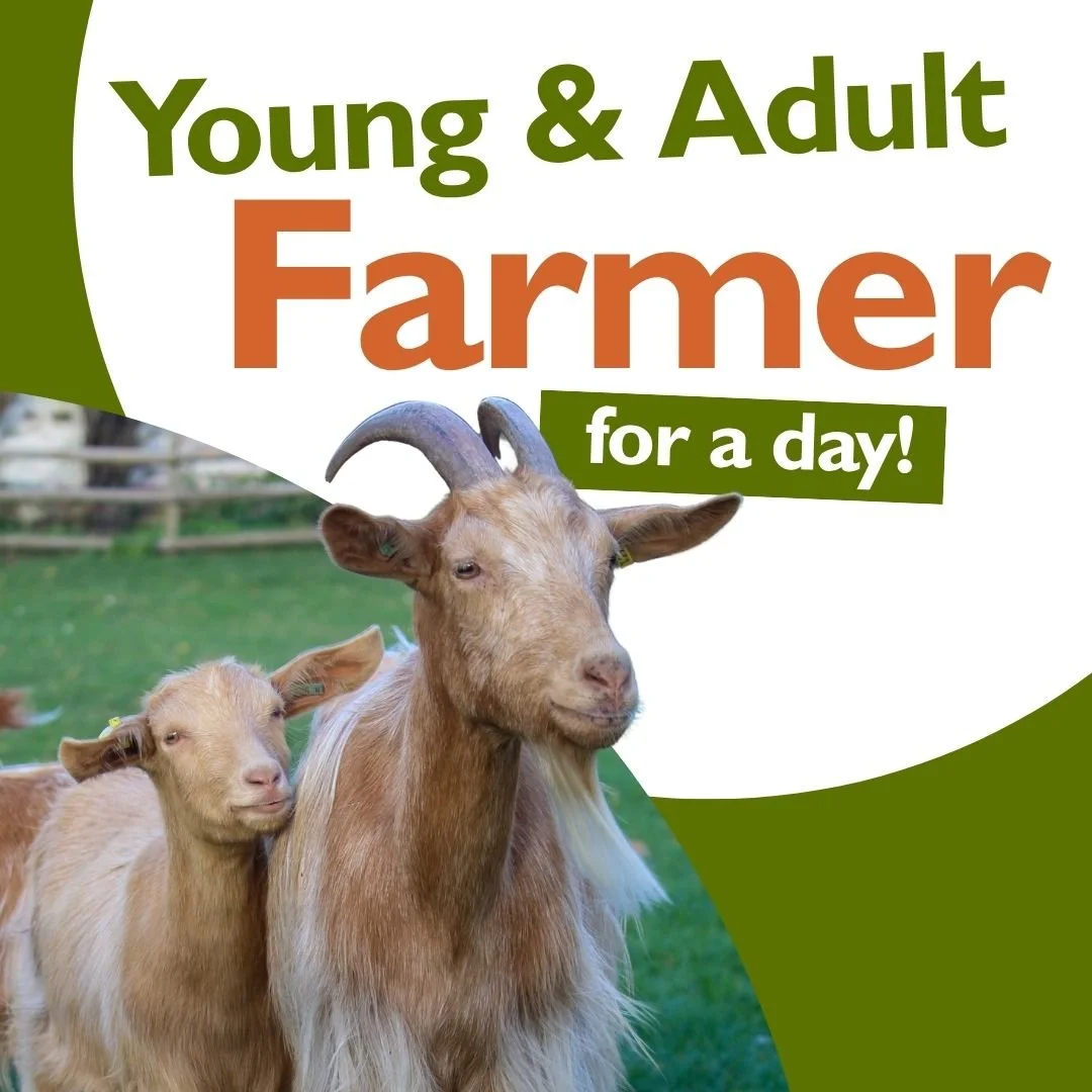 Farmer for a Day