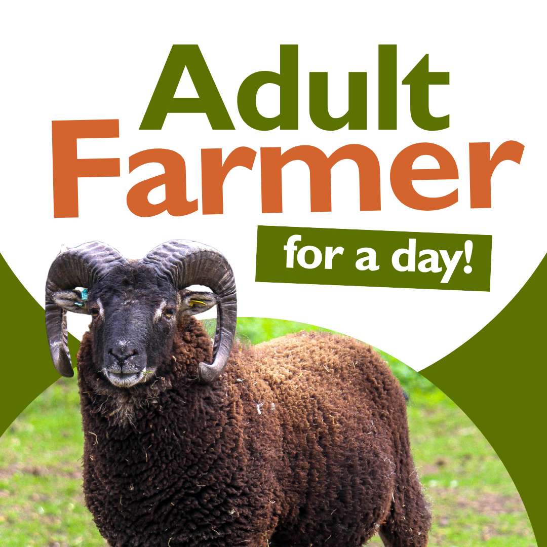 Adult Farmer (web).png