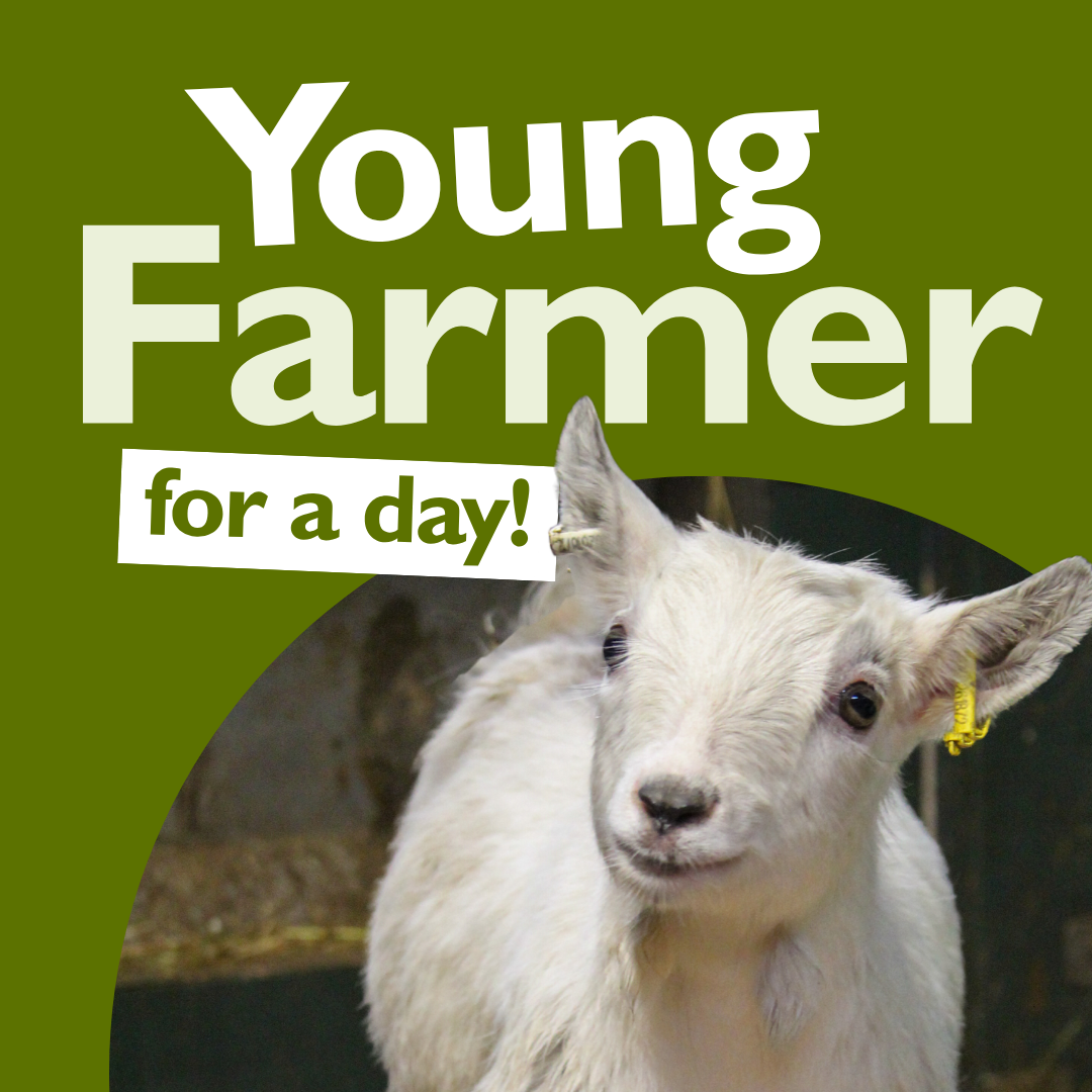 Young Farmer (web).png