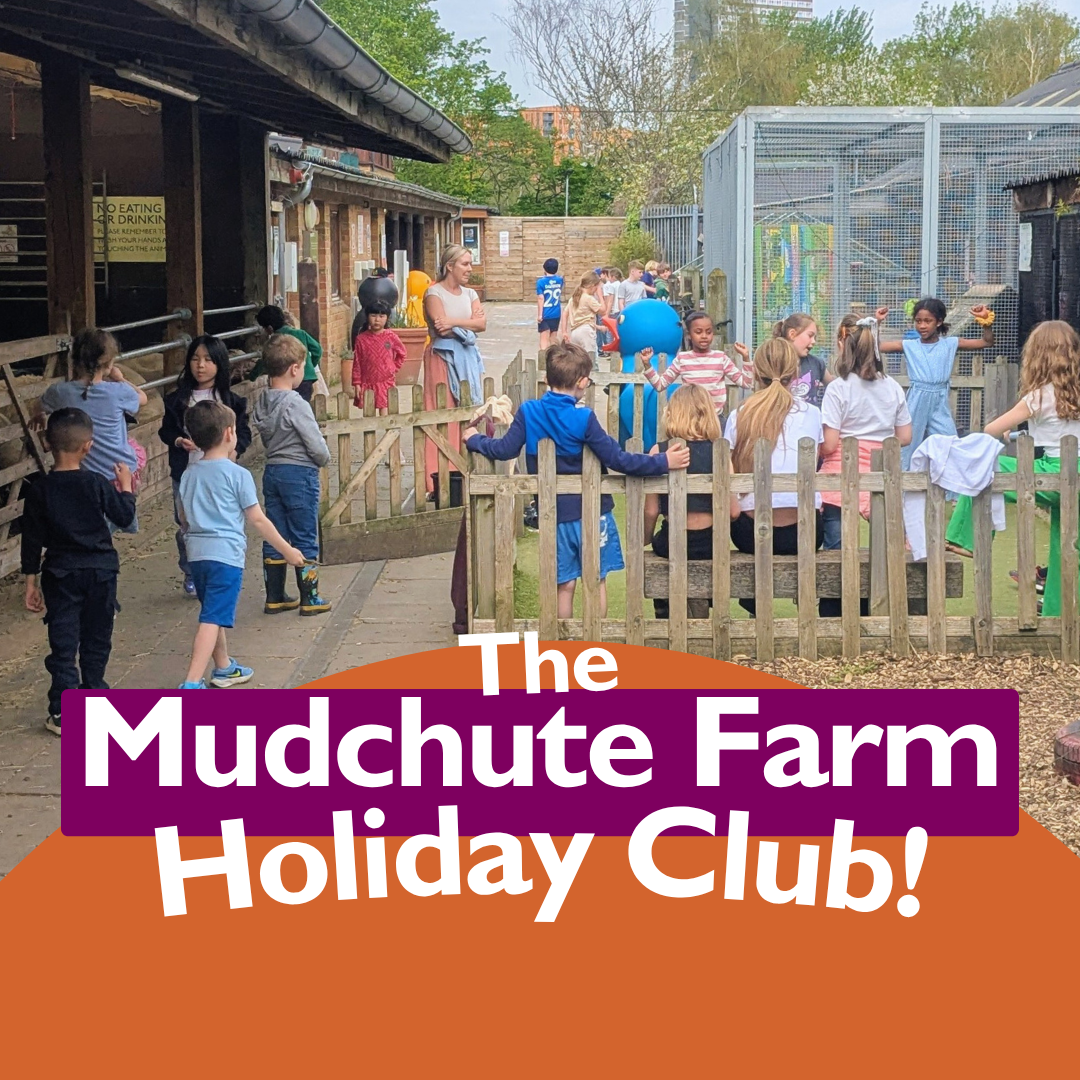 Mudchute Farm Holiday Club