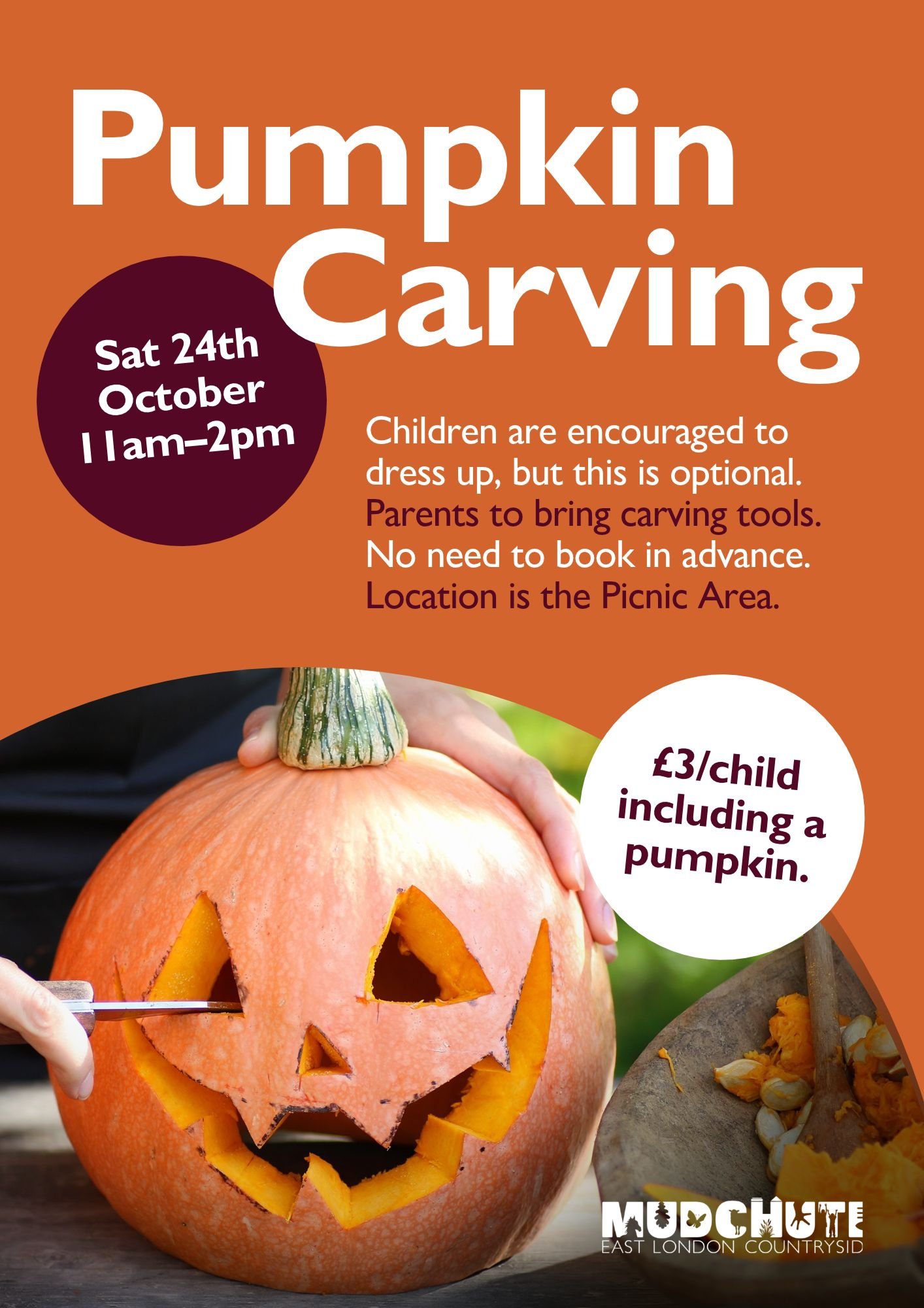 Pumpkin Carving Saturday 24 October