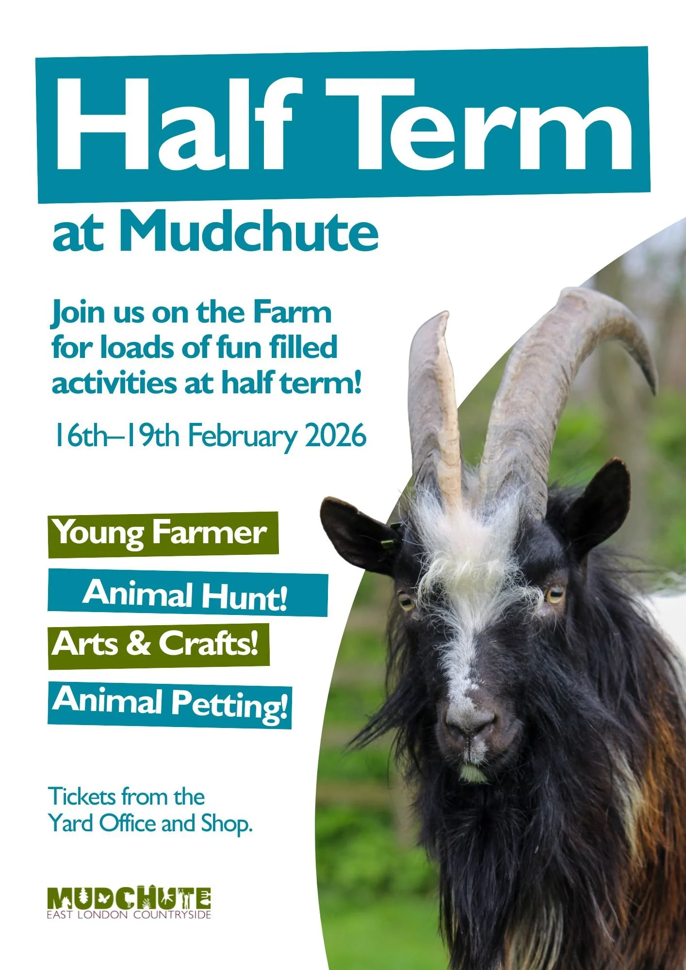 February Half Term 2026 at Mudchute