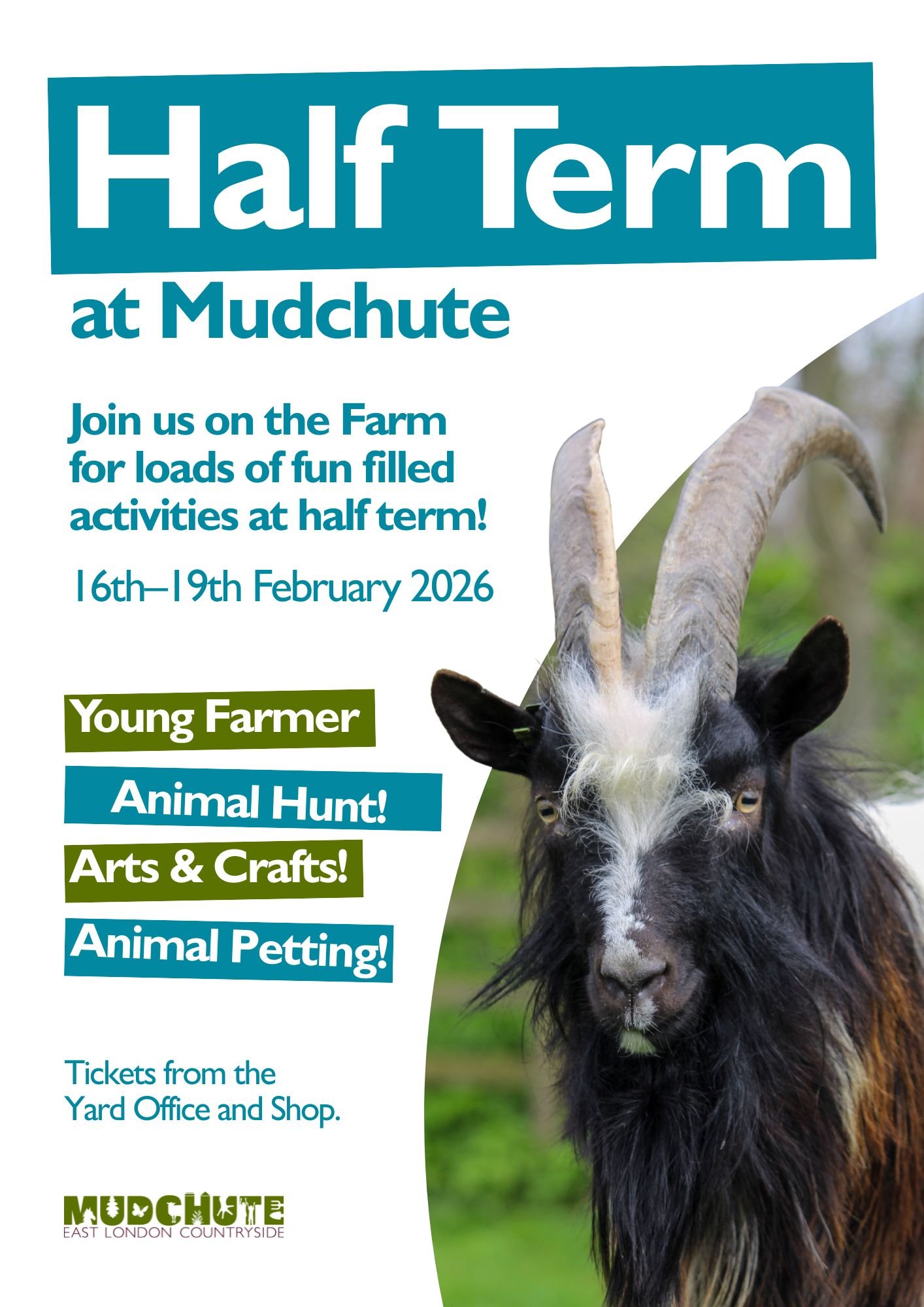 February Half Term 2026 at Mudchute | Mudchute Park and Farm