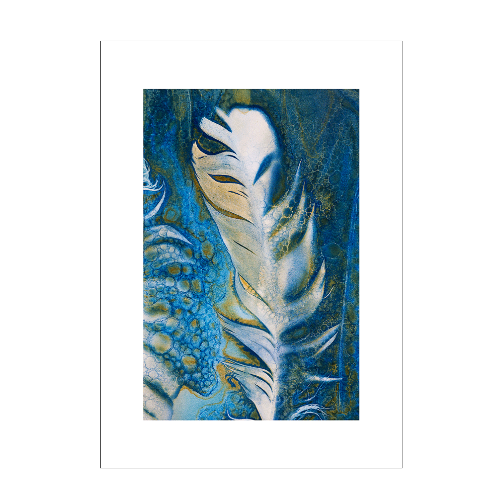Danny-Blue-Bird-Detail.gif