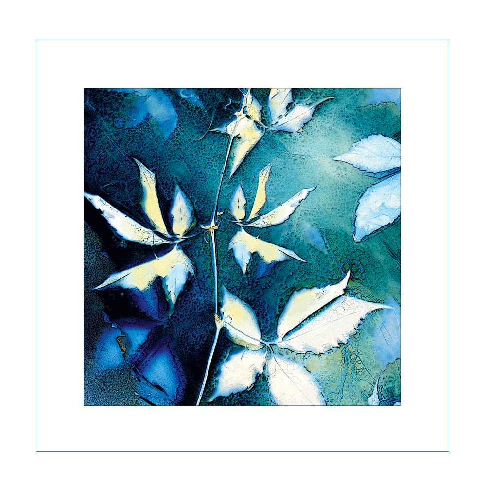 Beautiful-Acer-Card-Front.gif
