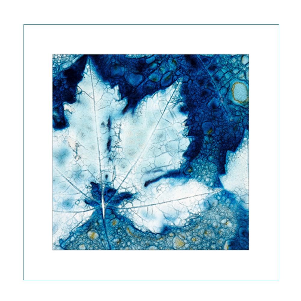 Leafy-Cyan-Front.gif