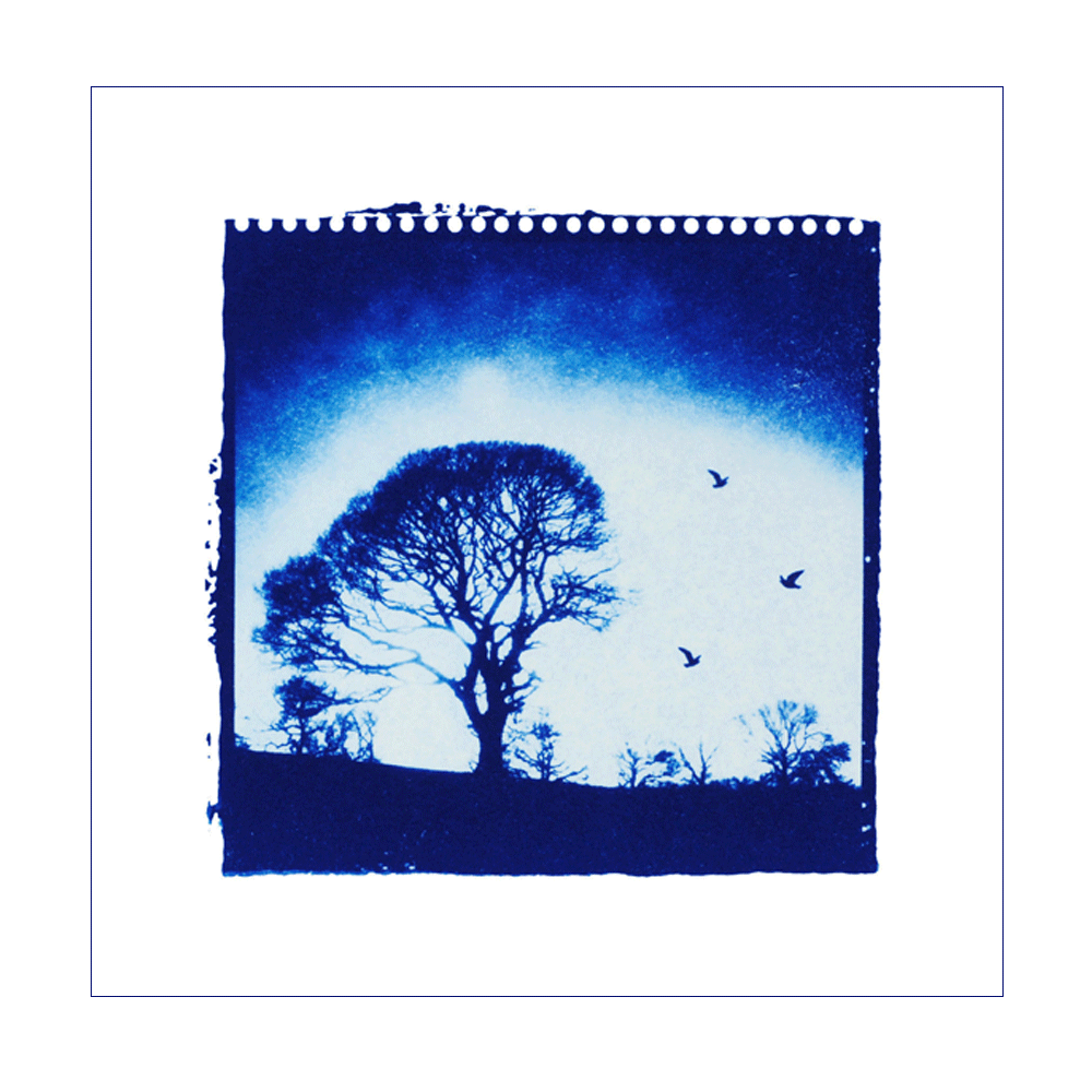 Indigo-Days-Front.gif
