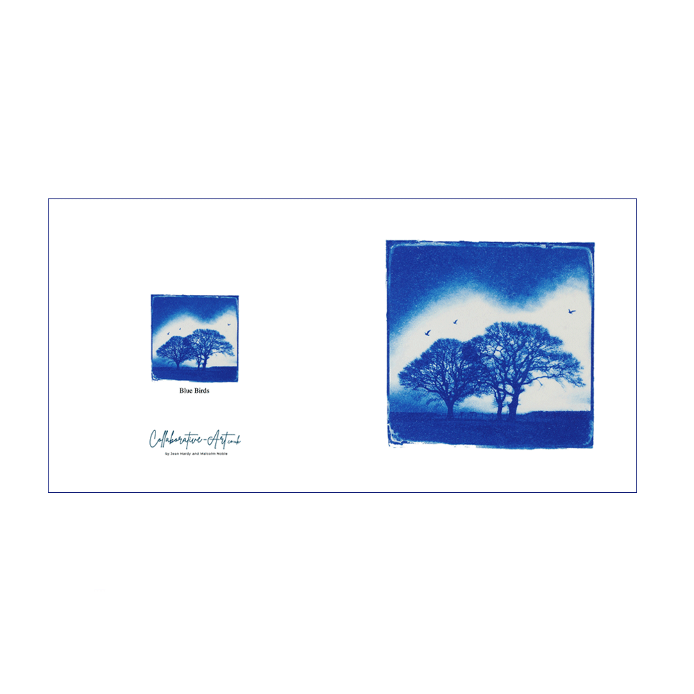 Blue-Birds.gif